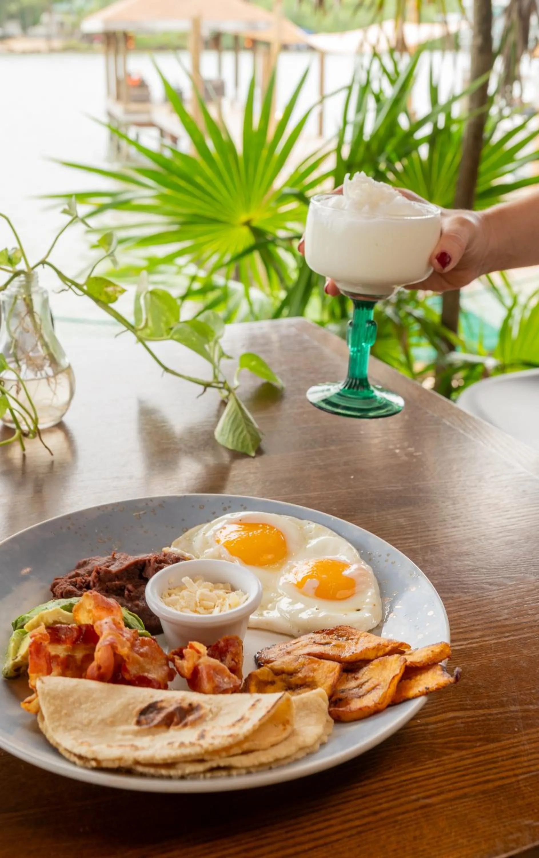 Food and drinks in Hotel Posada Las Orquídeas,West End