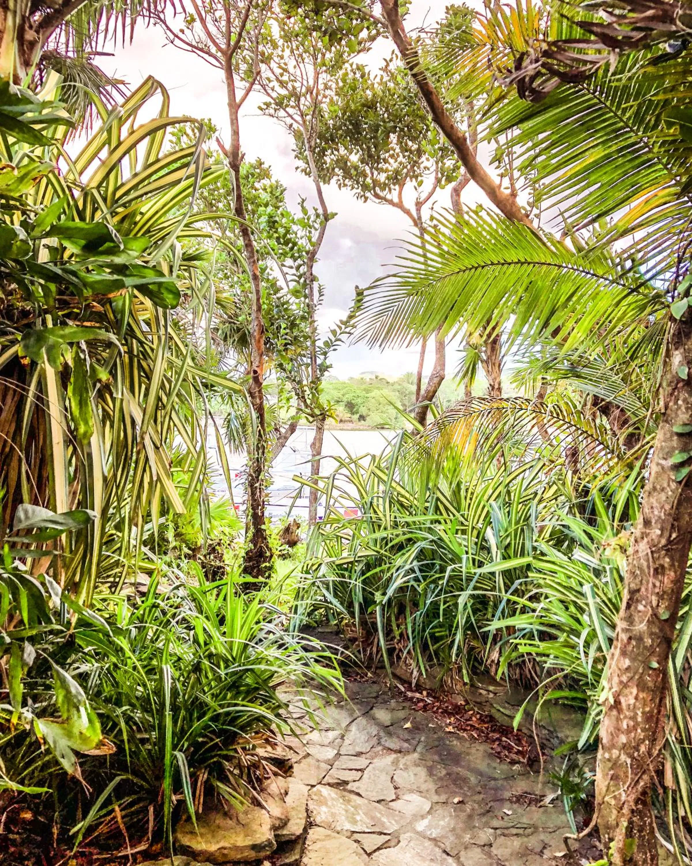 Natural landscape in Hotel Posada Las Orquídeas,West End