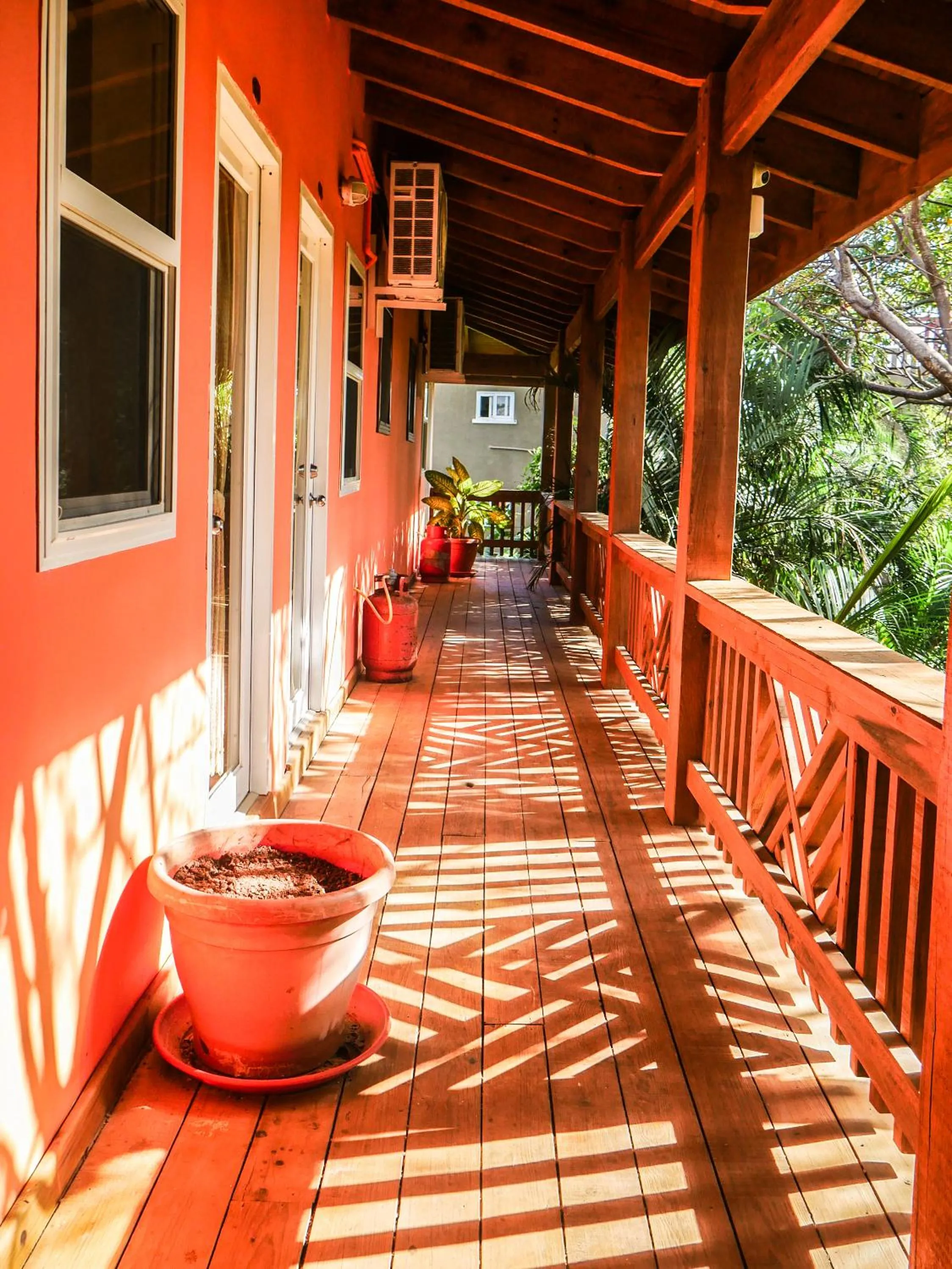 Balcony/Terrace in Hotel Posada Las Orquídeas,West End