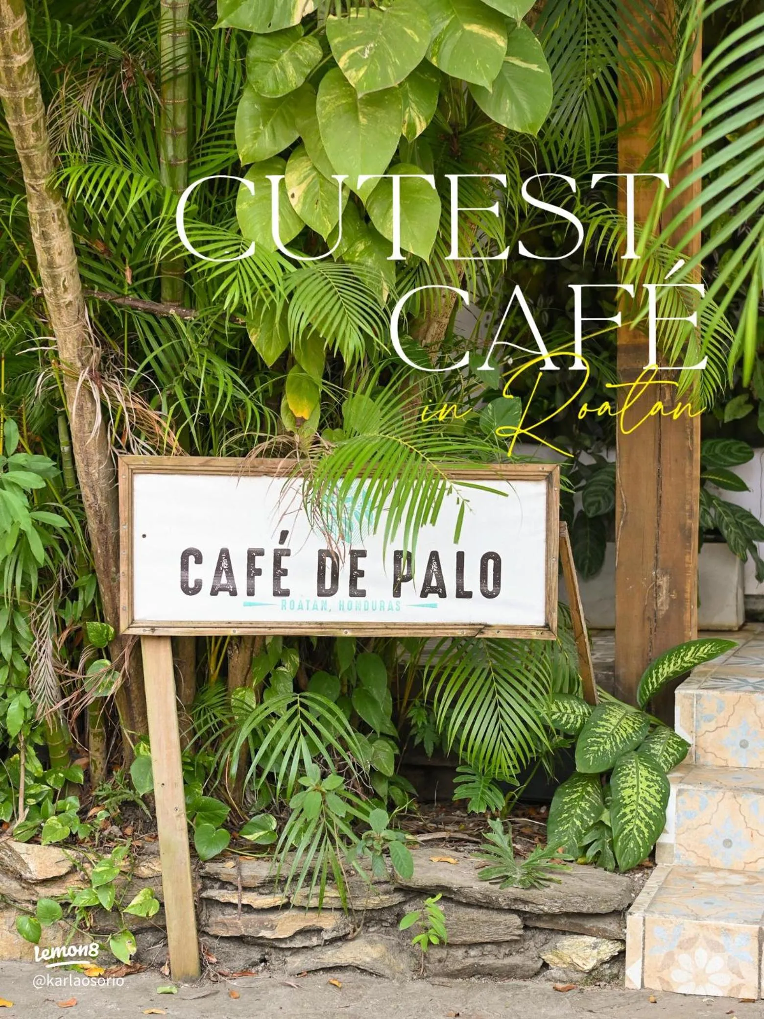 Restaurant/places to eat in Hotel Posada Las Orquídeas,West End