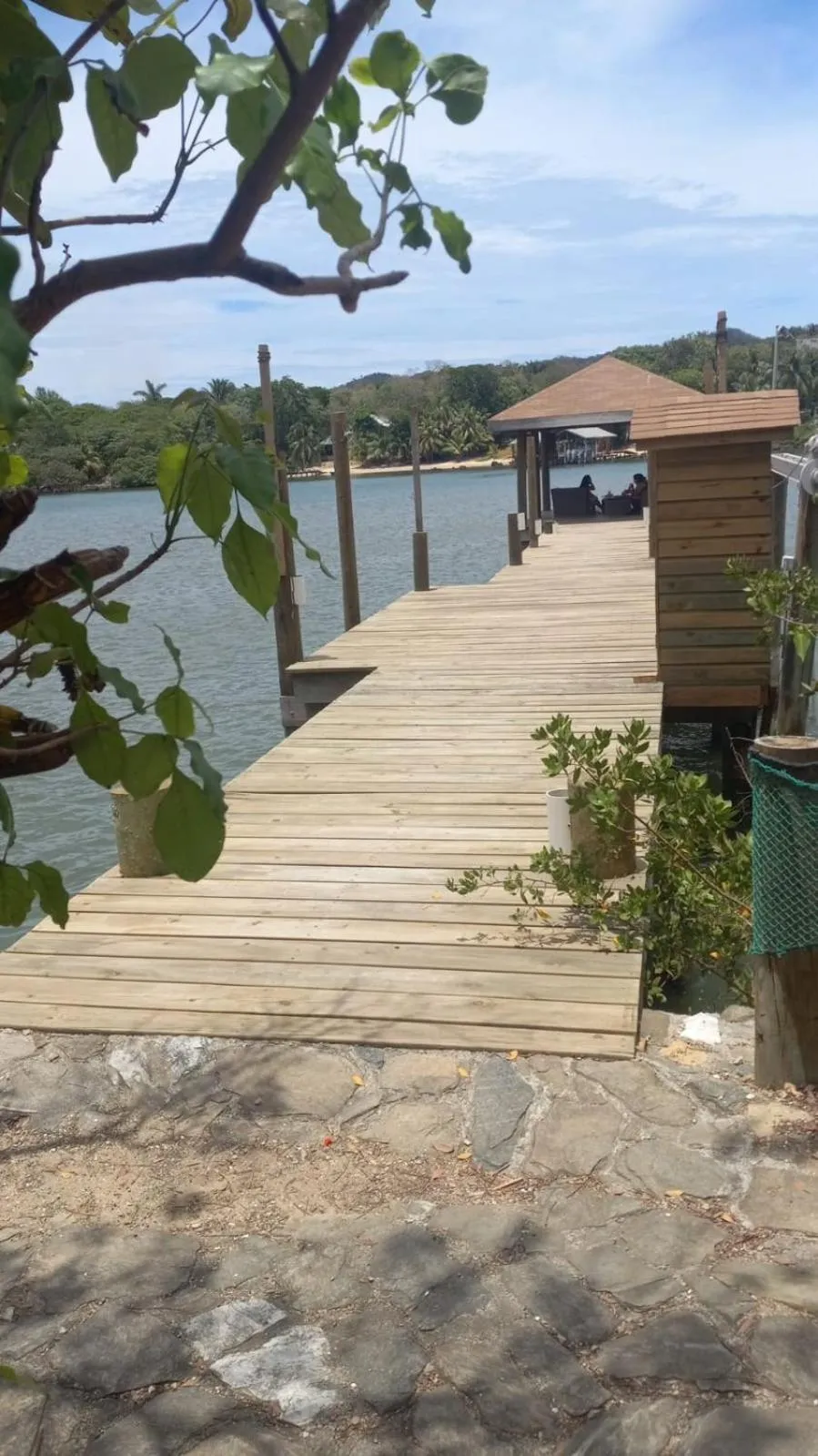 View (from property/room) in Hotel Posada Las Orquídeas,West End