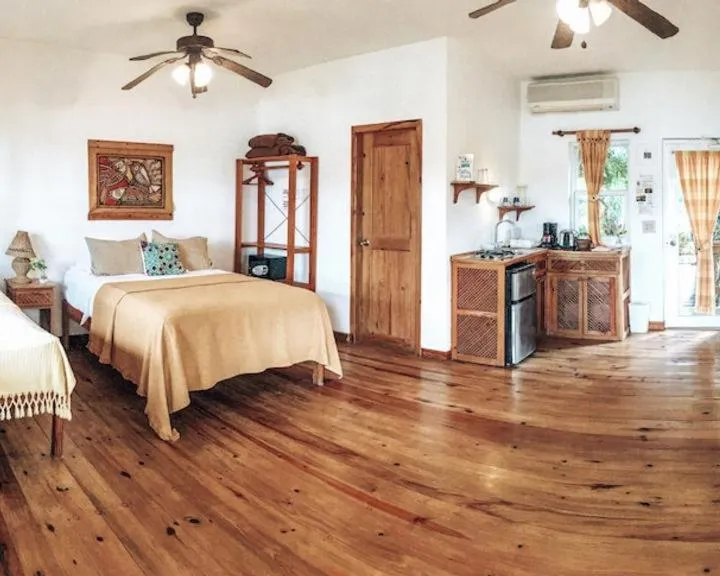 Photo of the whole room, Bed in Hotel Posada Las Orquídeas,West End