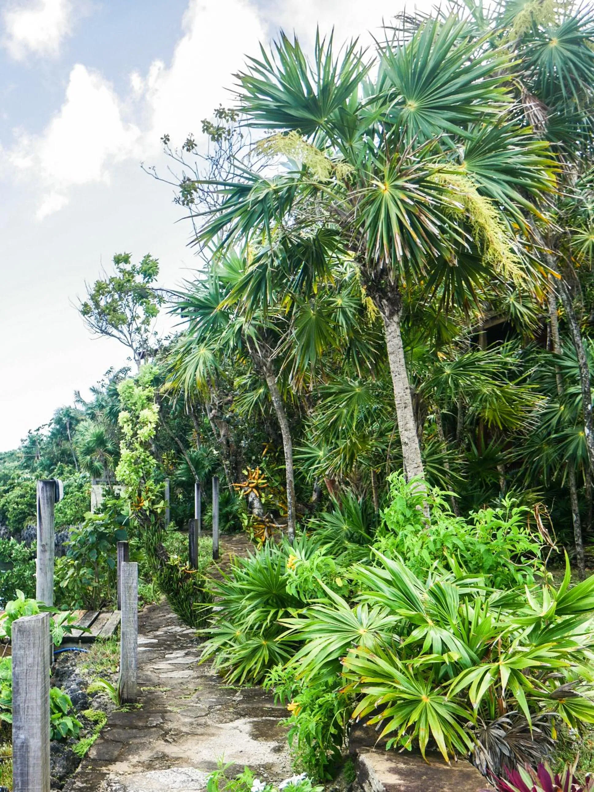 Natural landscape in Hotel Posada Las Orquídeas,West End