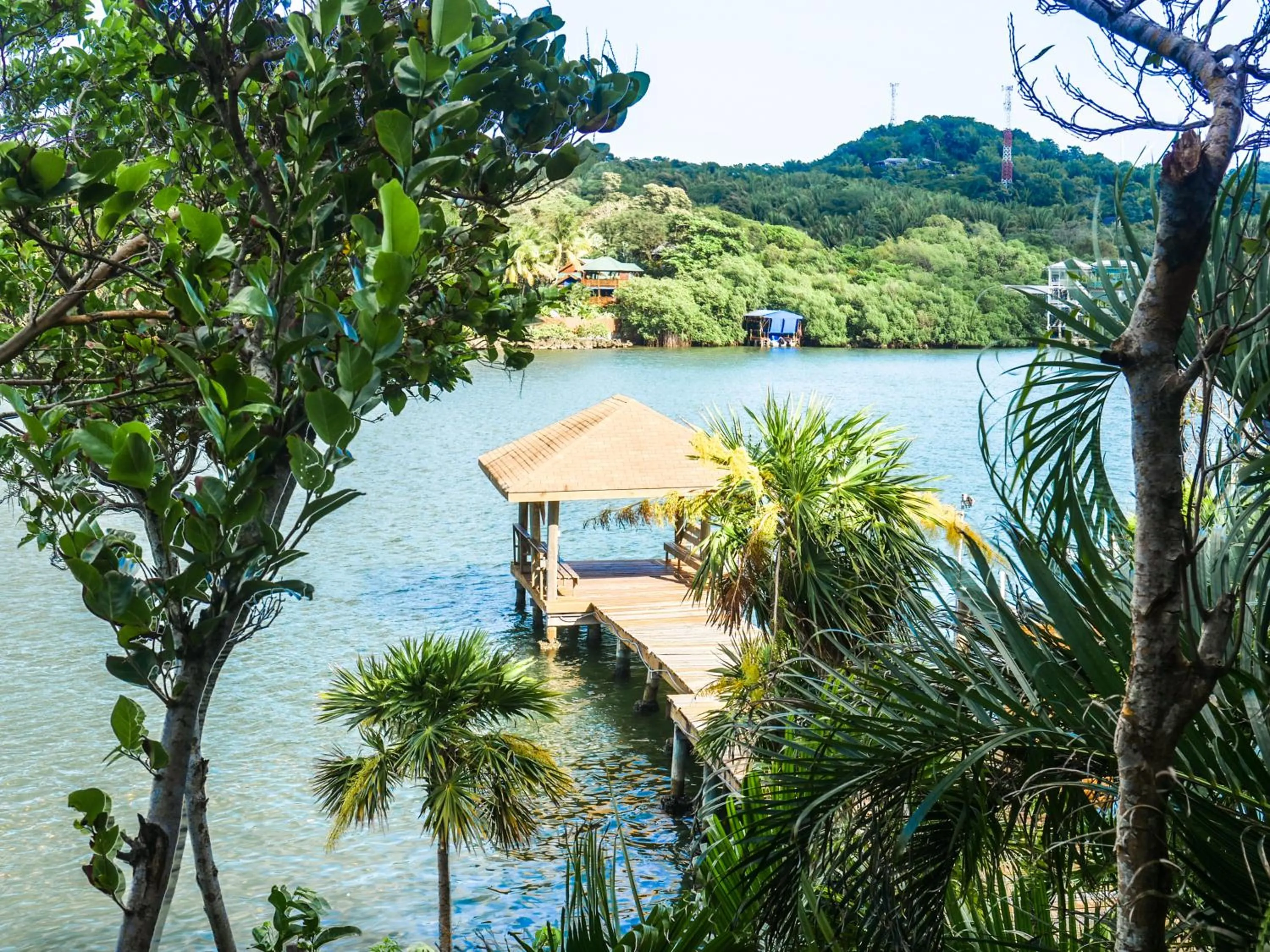 Natural landscape in Hotel Posada Las Orquídeas,West End