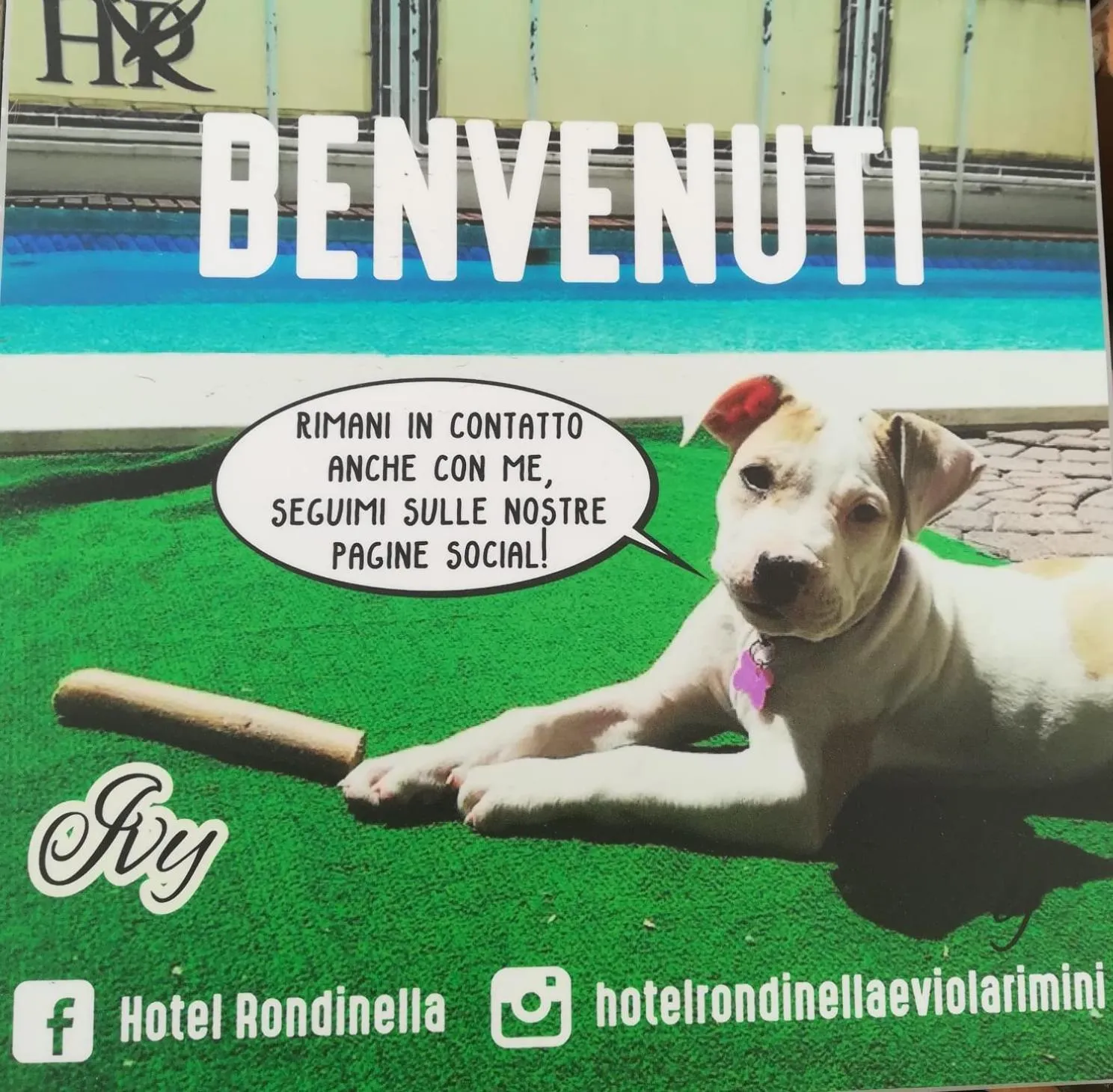 Pets in Hotel Rondinella e Viola