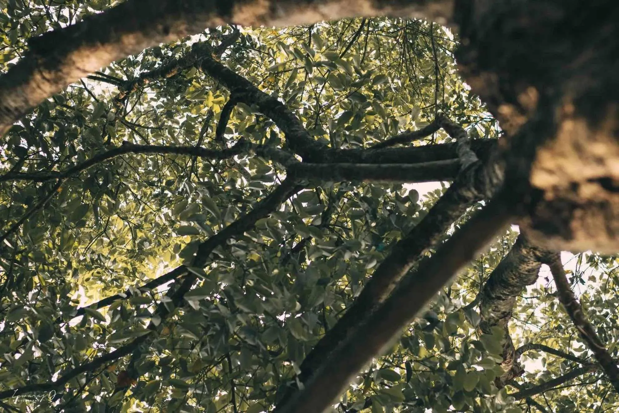 Natural landscape in SoultoSoul Guesthouse