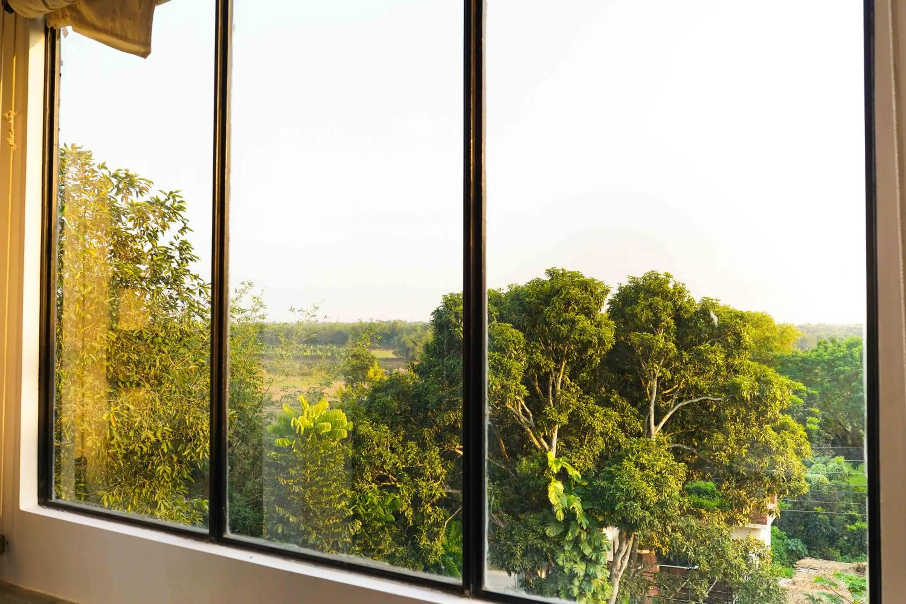 View (from property/room) in SoultoSoul Guesthouse