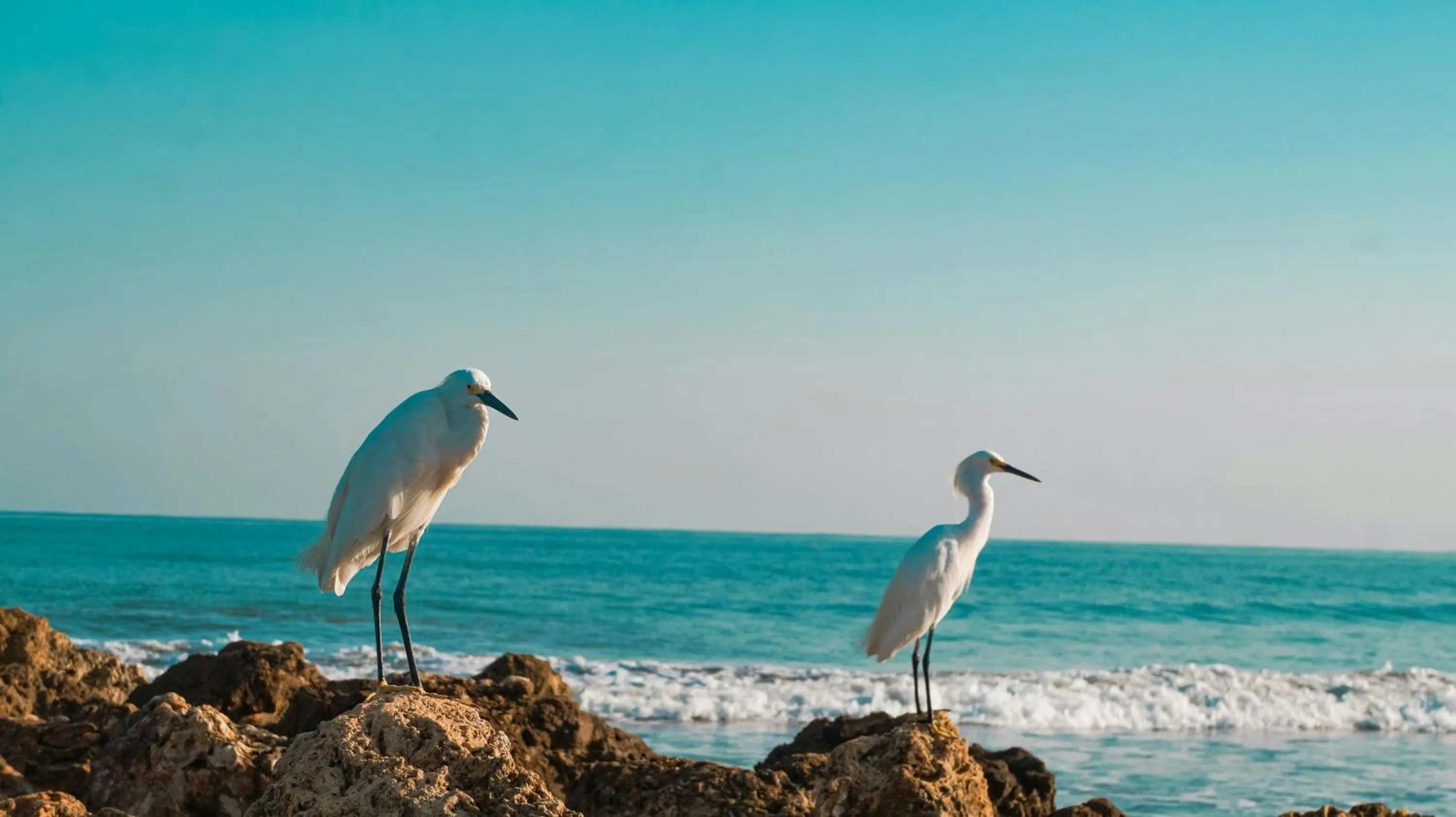 View (from property/room) in Hotel InterContinental Cartagena by IHG