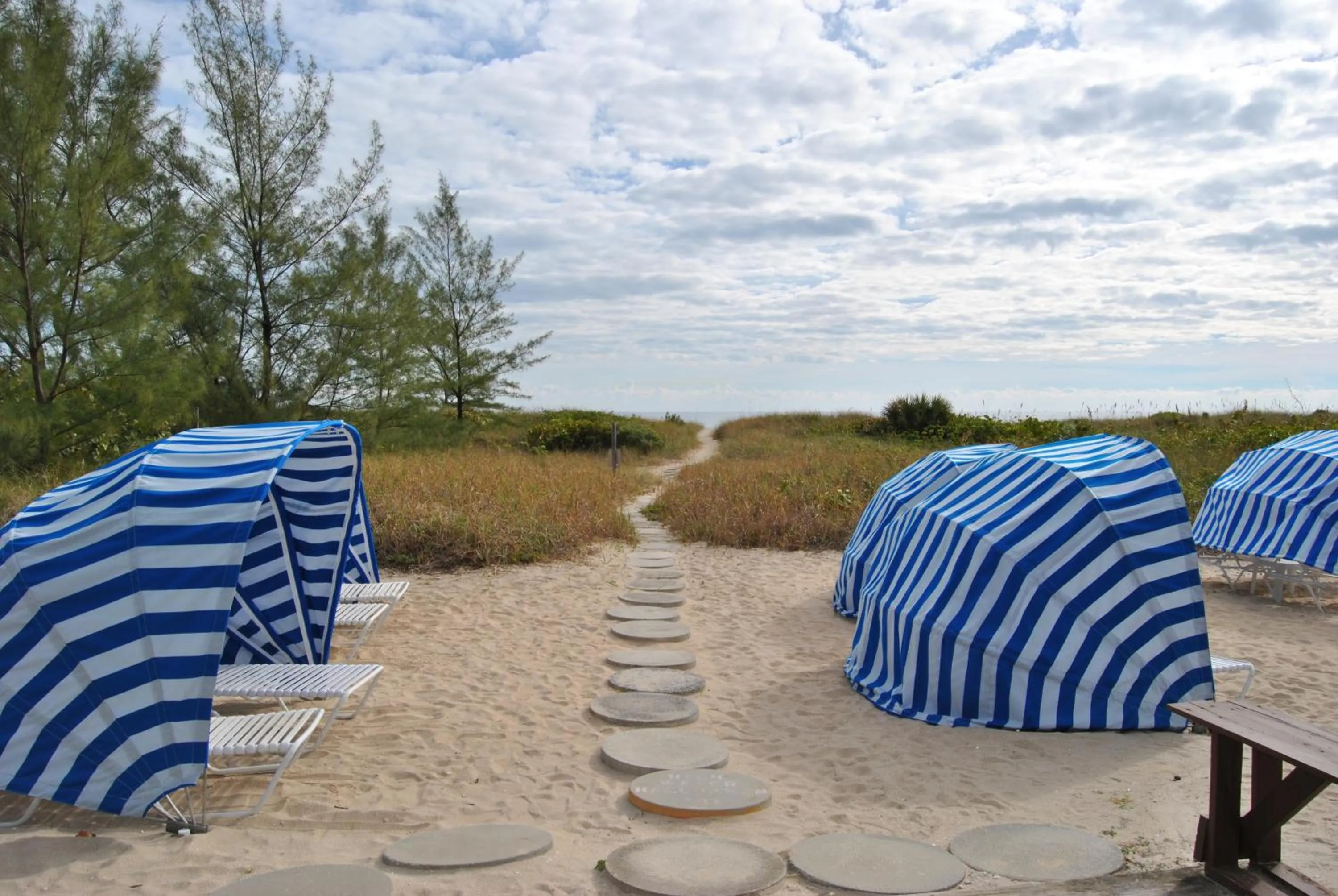 Beach in Sand Dune Shores