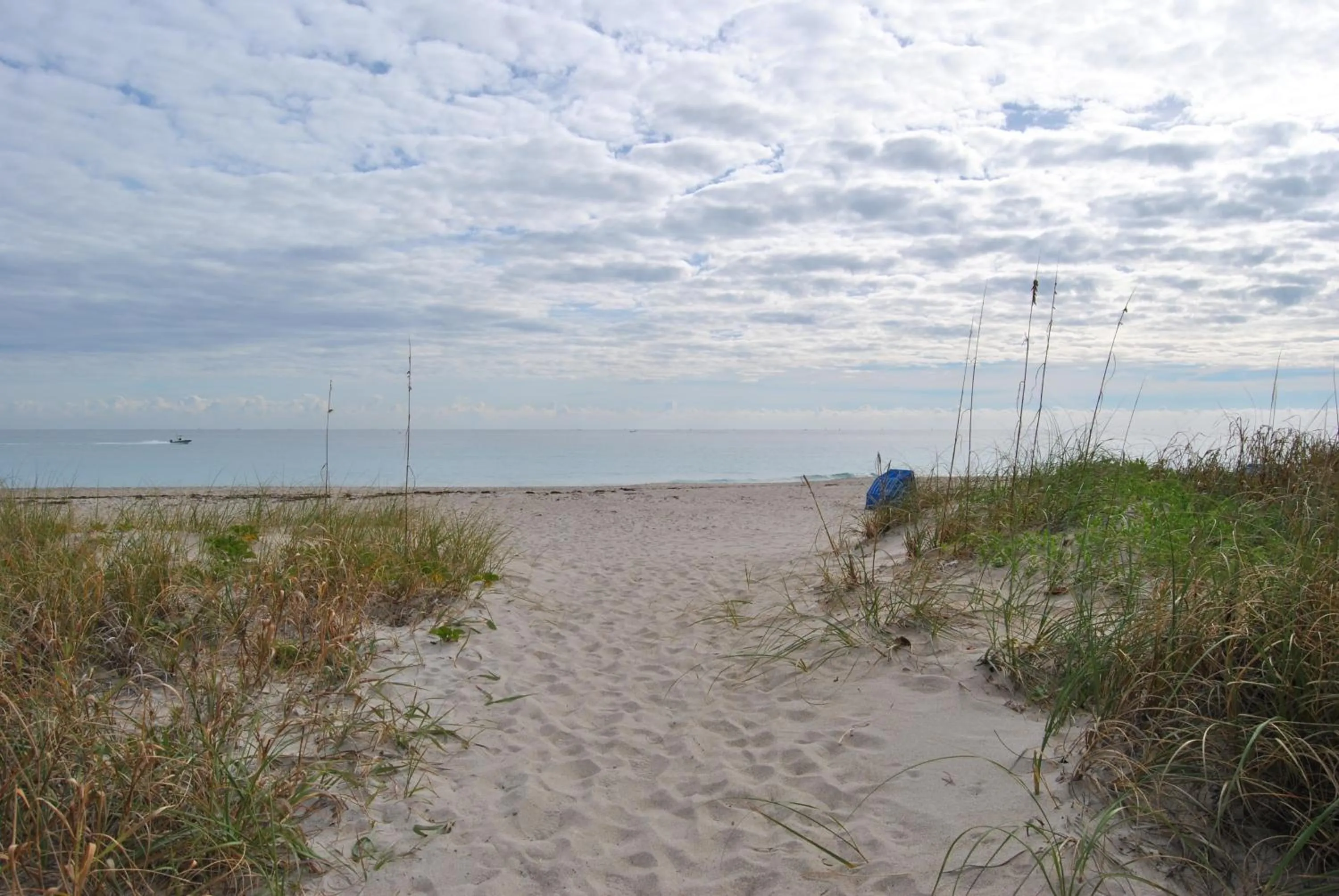Beach in Sand Dune Shores