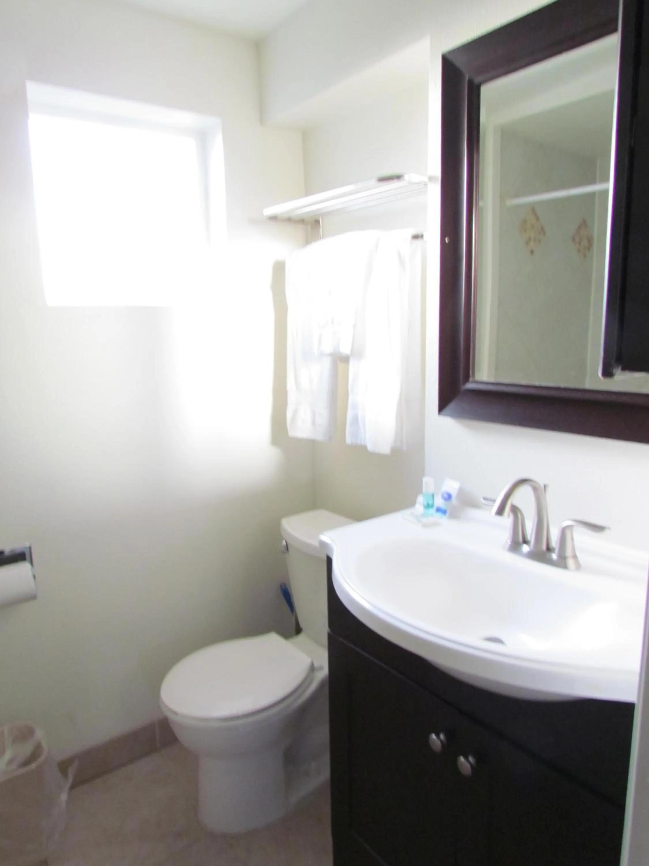 Bathroom in True North Motel