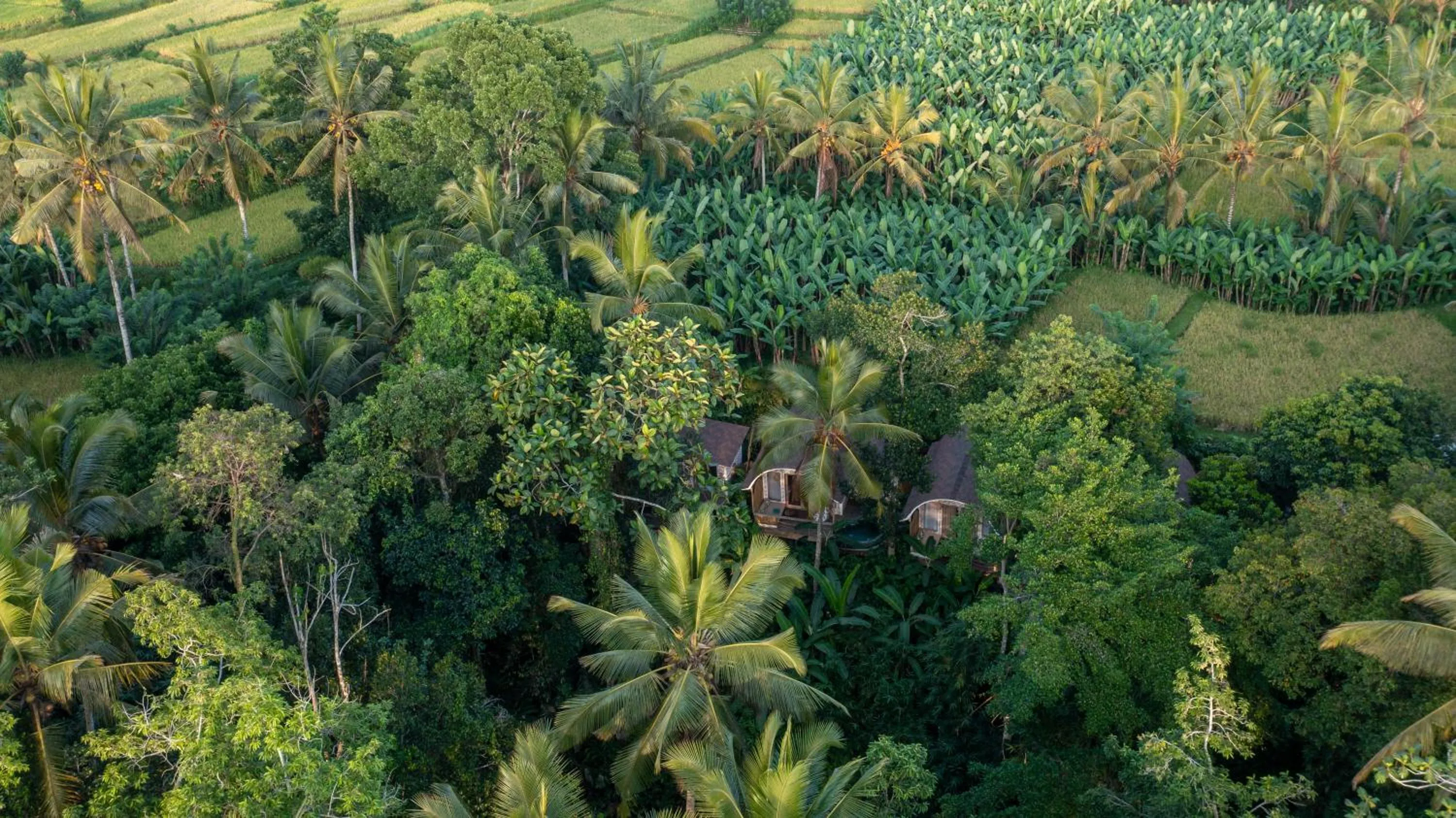 View (from property/room) in Sacred Canyon Ubud by GenuineHost