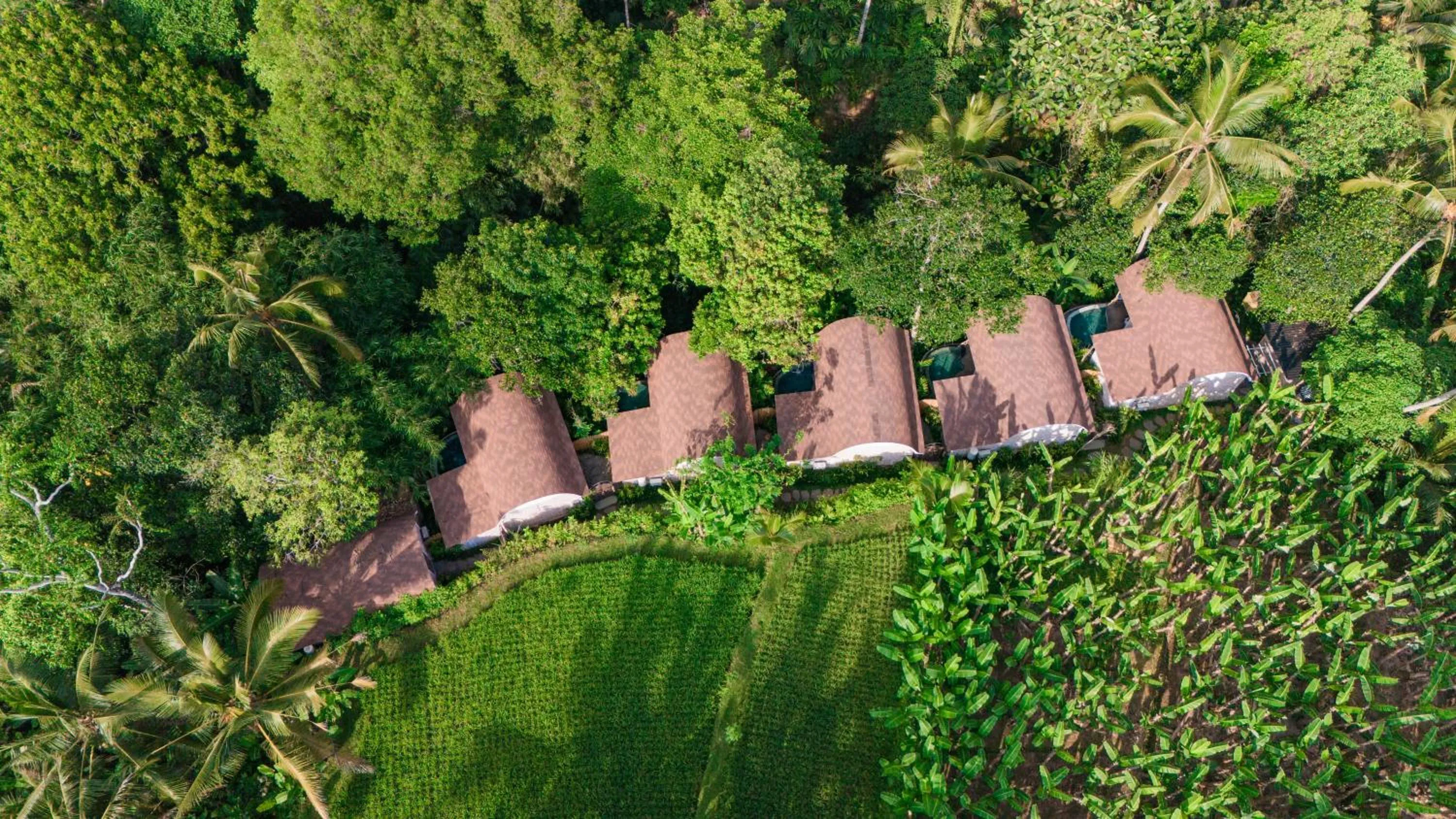 Property building in Sacred Canyon Ubud by GenuineHost