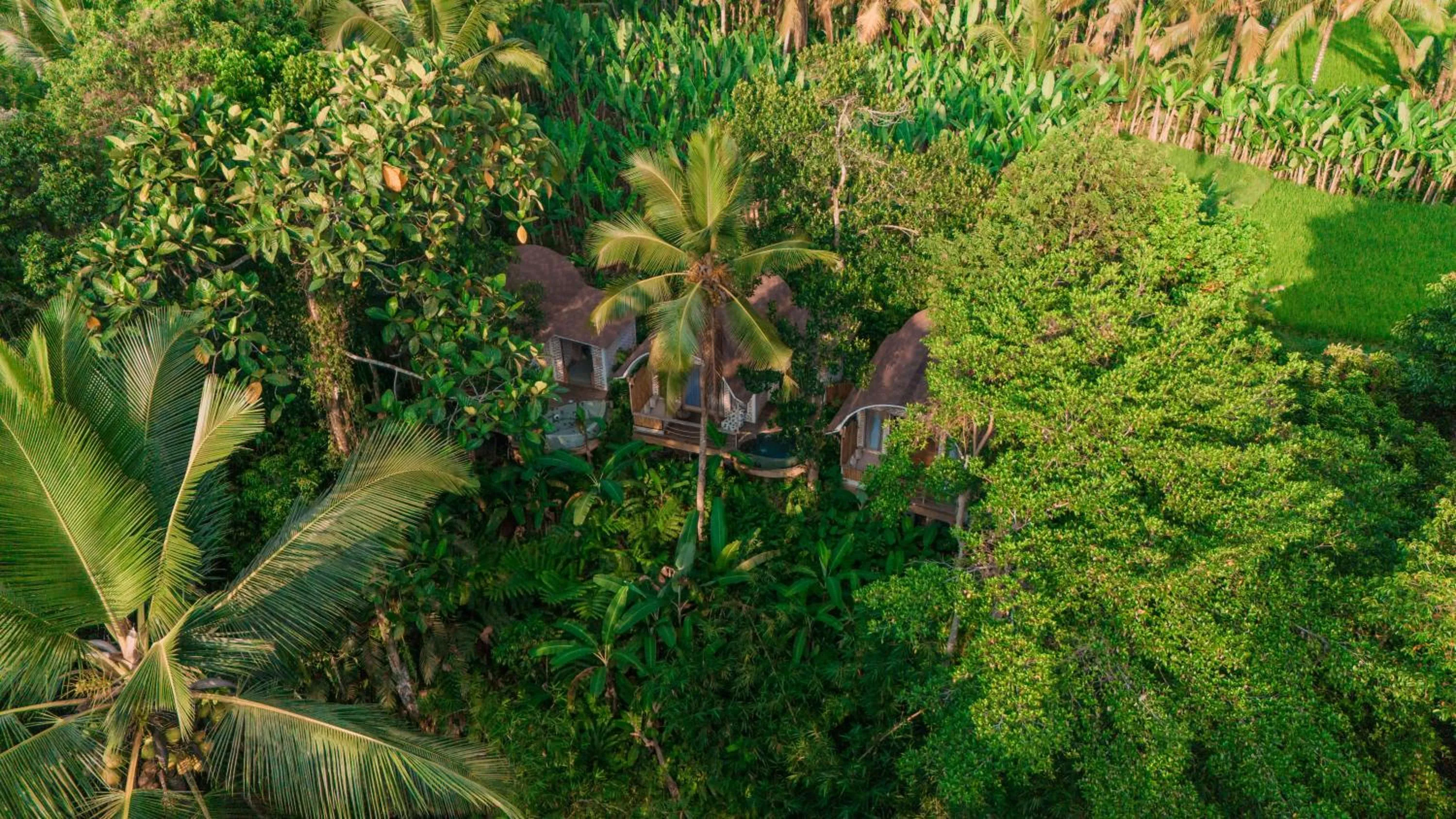 Property building in Sacred Canyon Ubud by GenuineHost