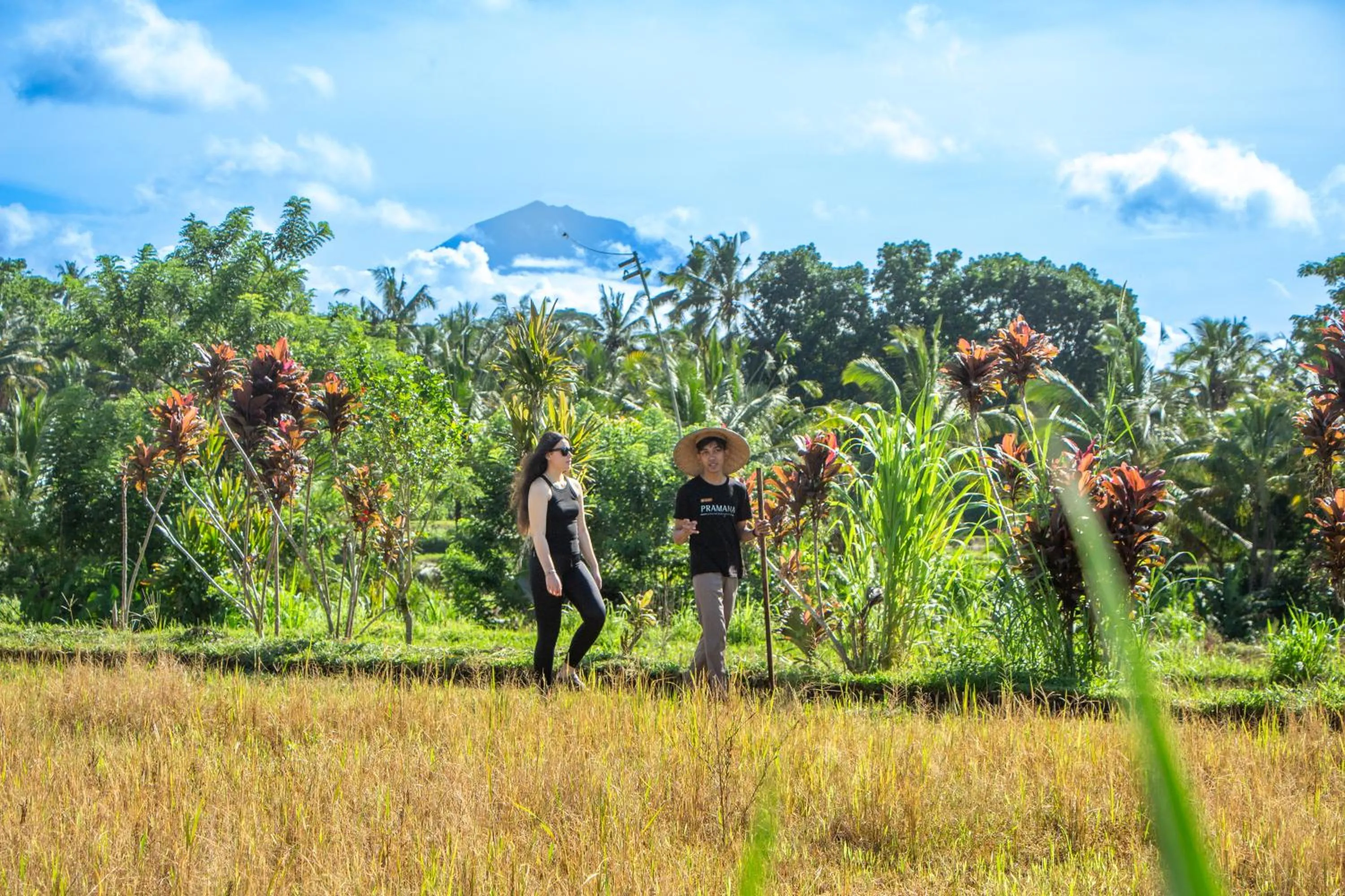 Activities in Sacred Canyon Ubud by GenuineHost