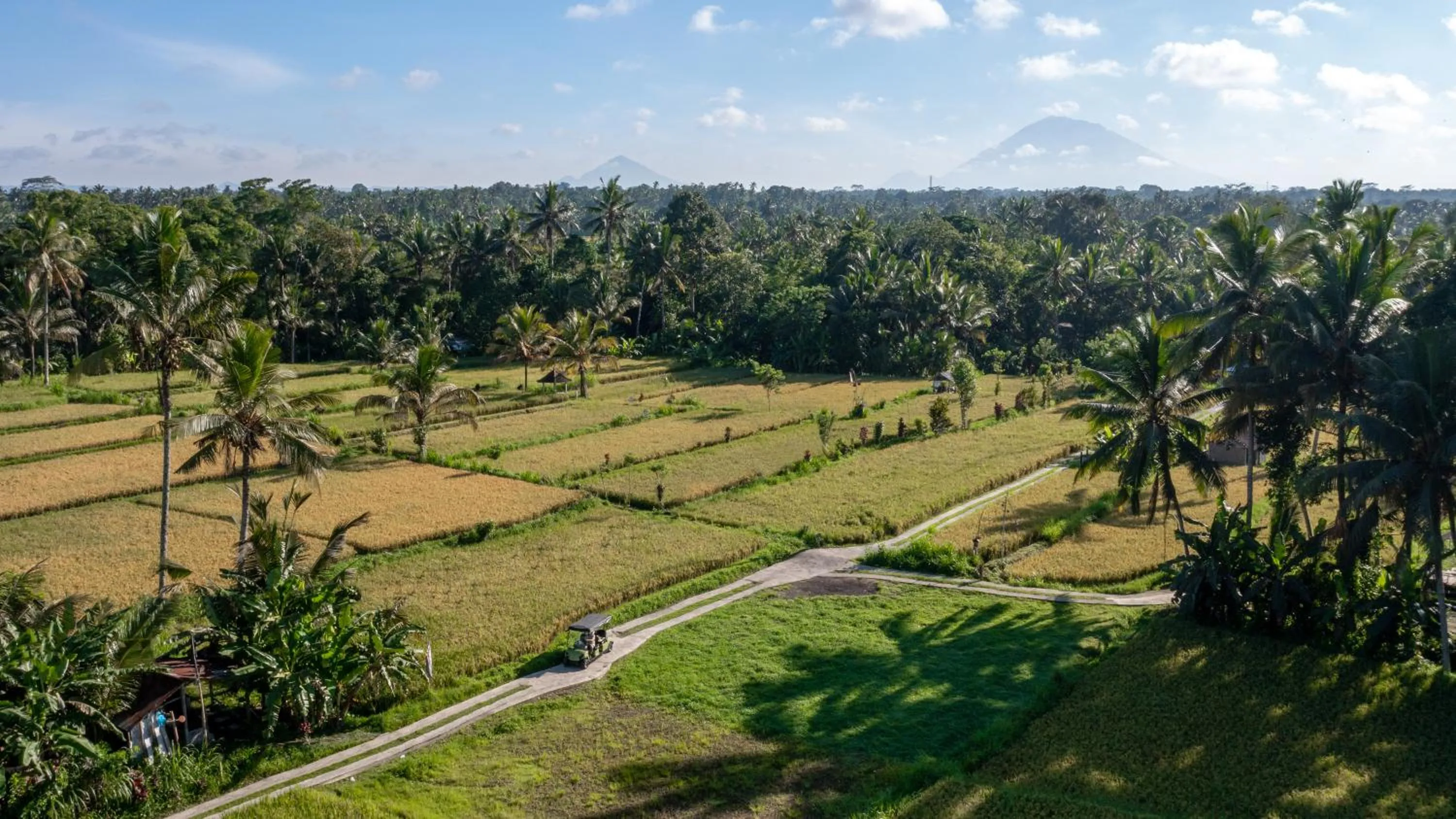 View (from property/room) in Sacred Canyon Ubud by GenuineHost