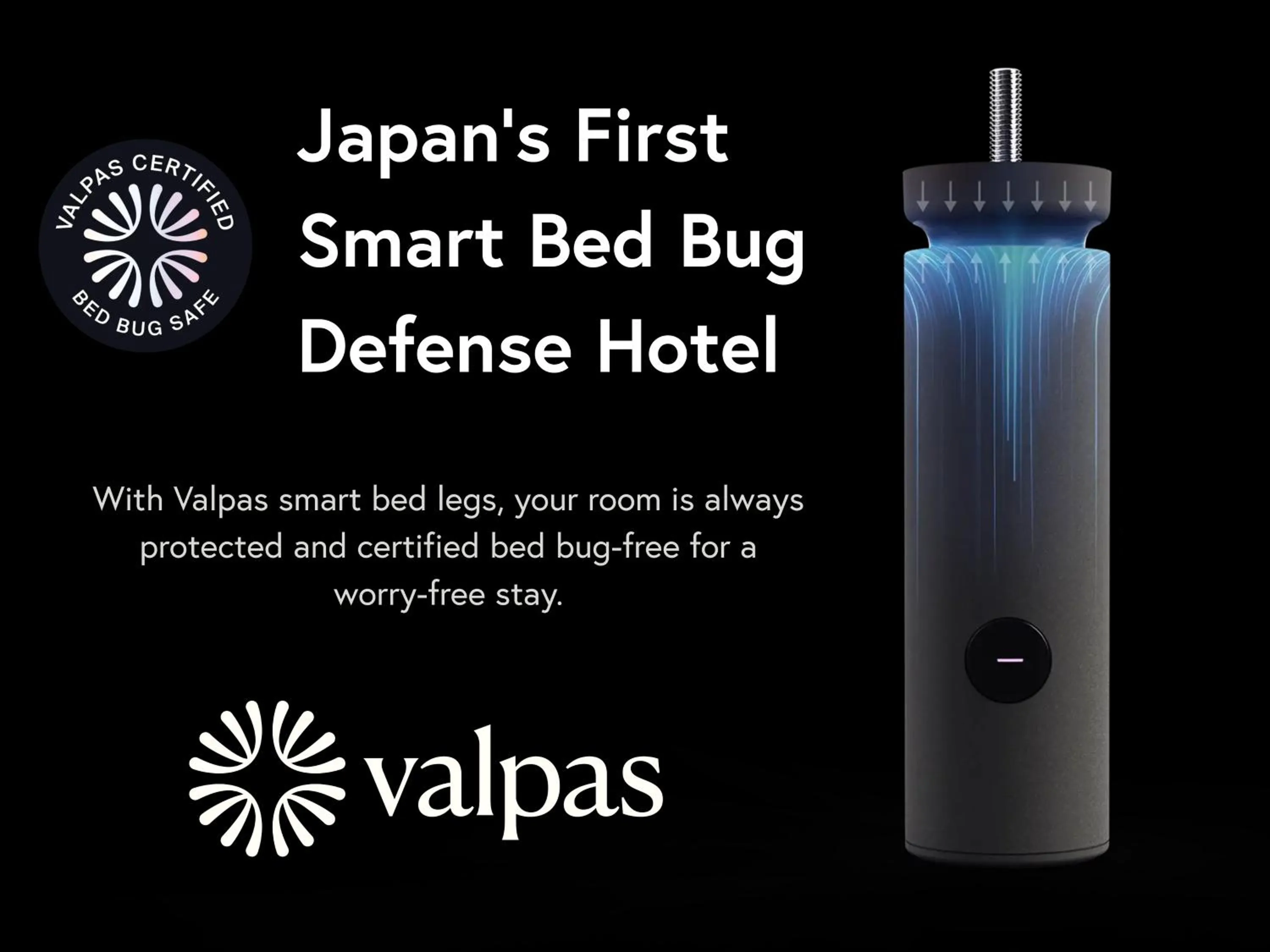 Other in WAYFARER Matsu