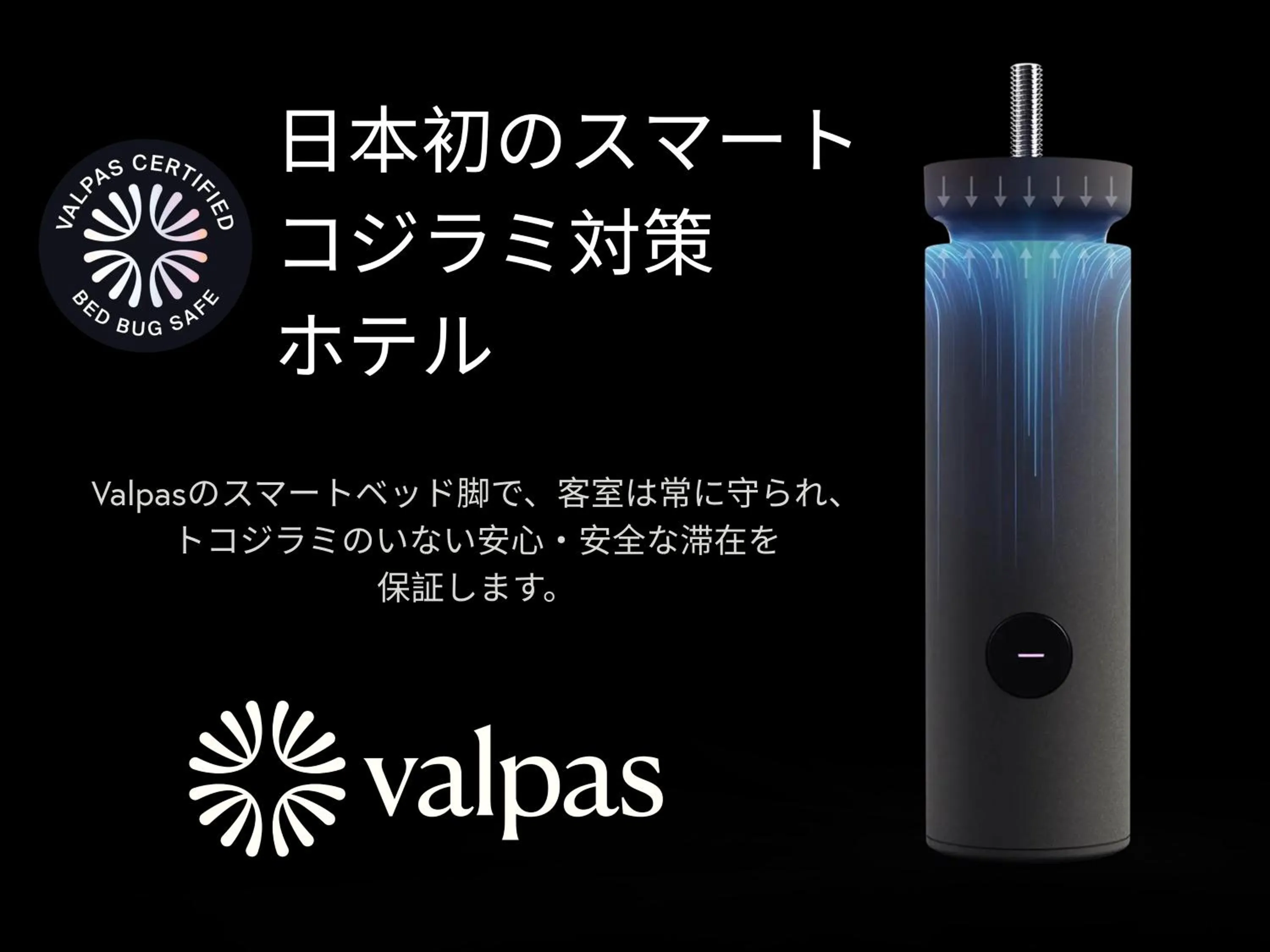 Other in WAYFARER Matsu