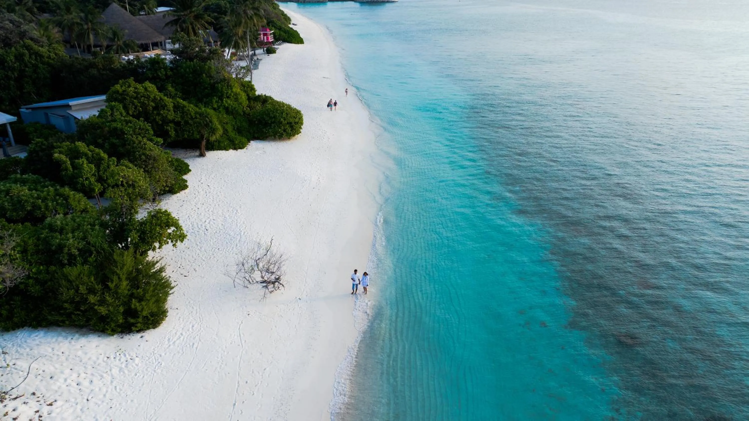 Beach in Ifuru Island Maldives - Domestic Flight Transport for 2 at Half-Price Valid for Min 5 Night Stays Between 20 Apr to 15 Oct 2026