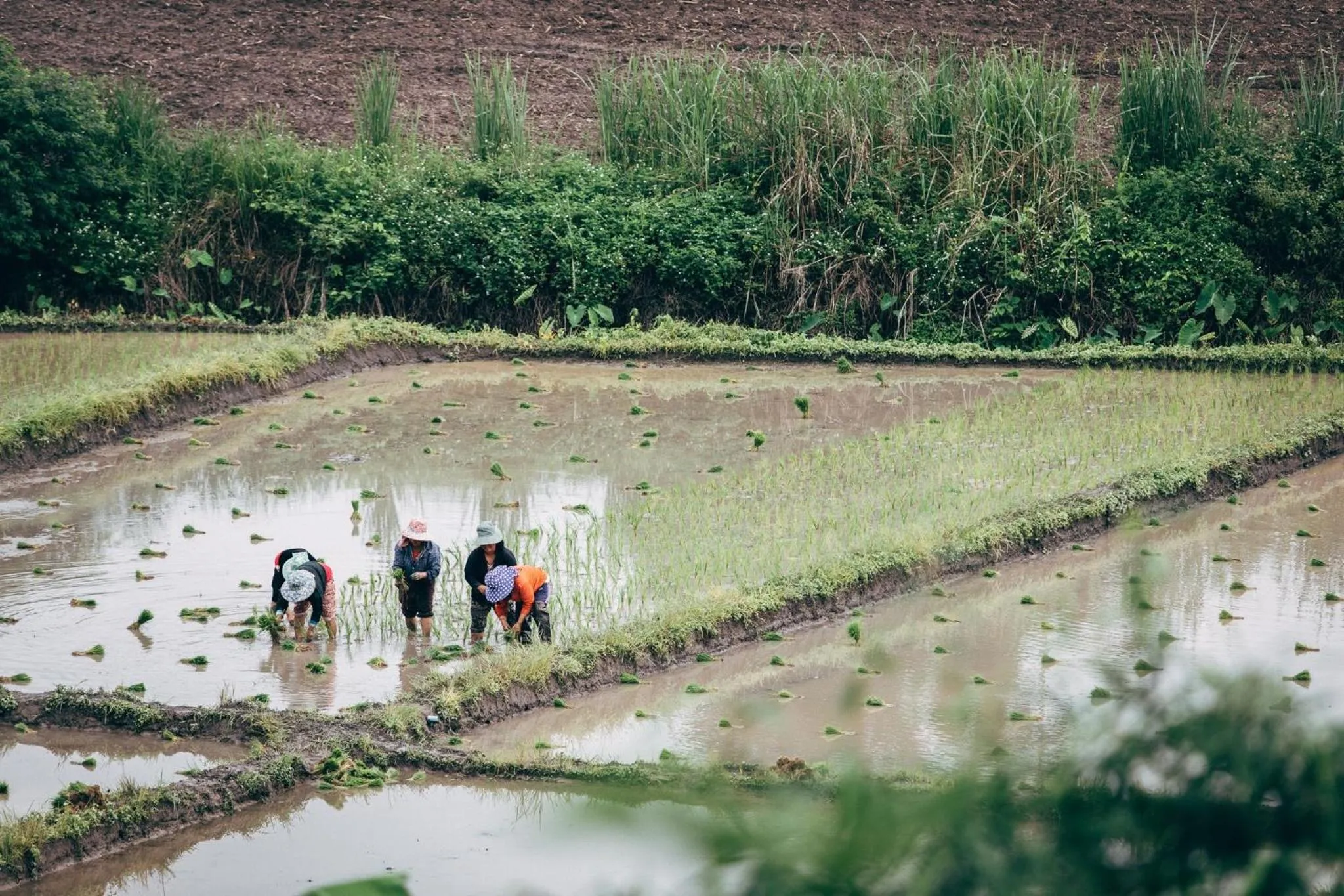 People in Phoomtada Homestay