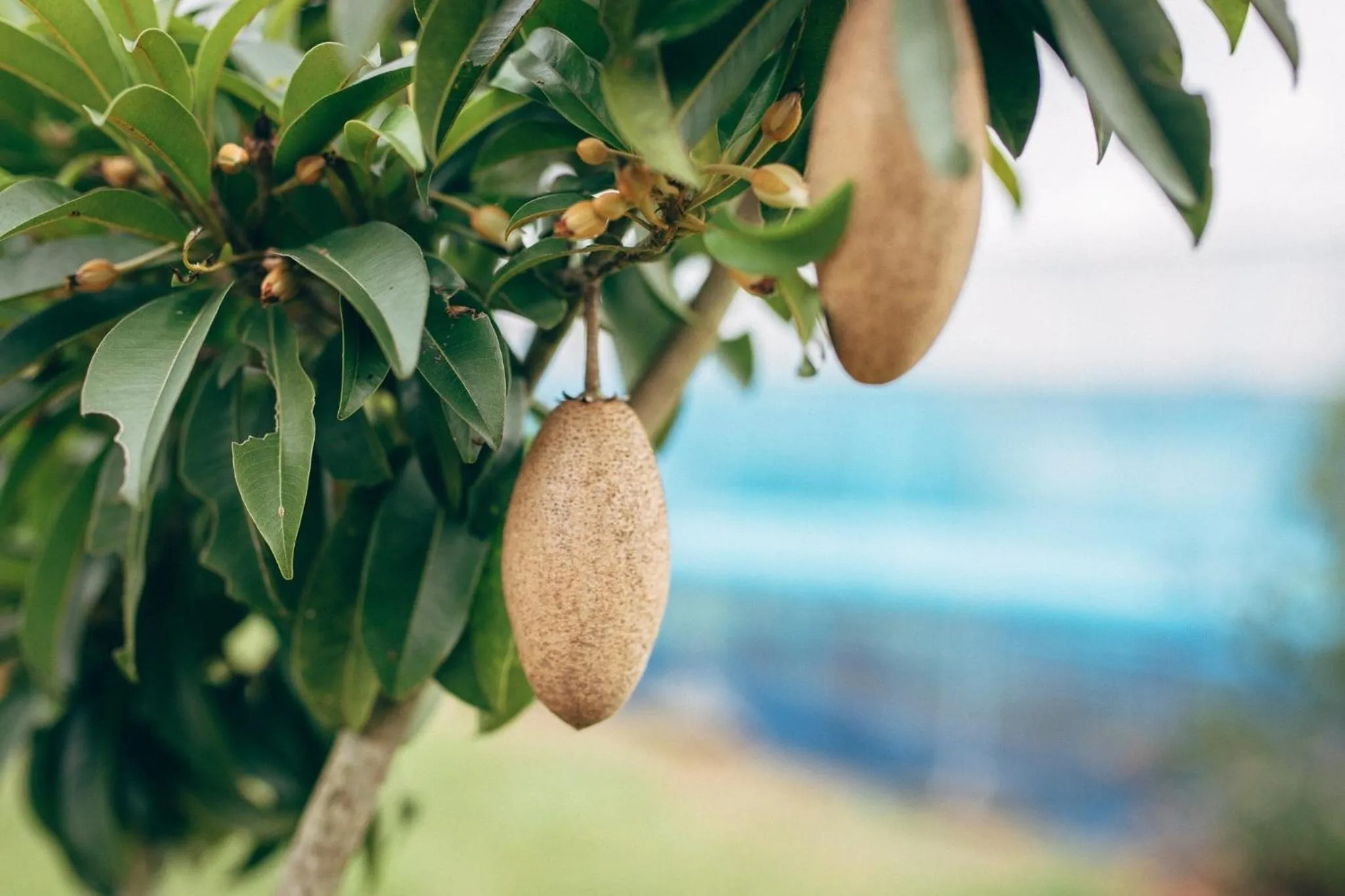 Other in Phoomtada Homestay