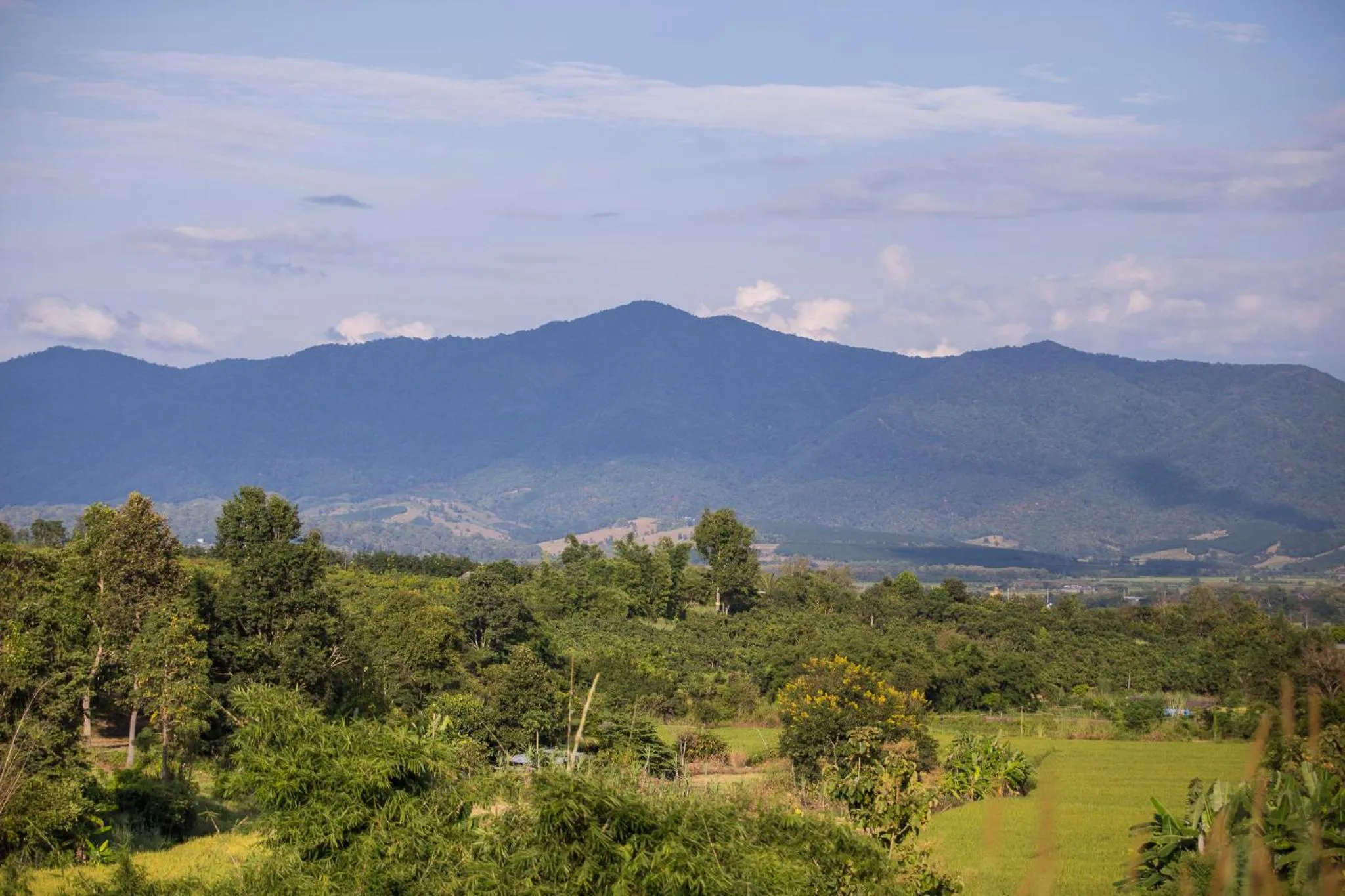Natural landscape in Phoomtada Homestay