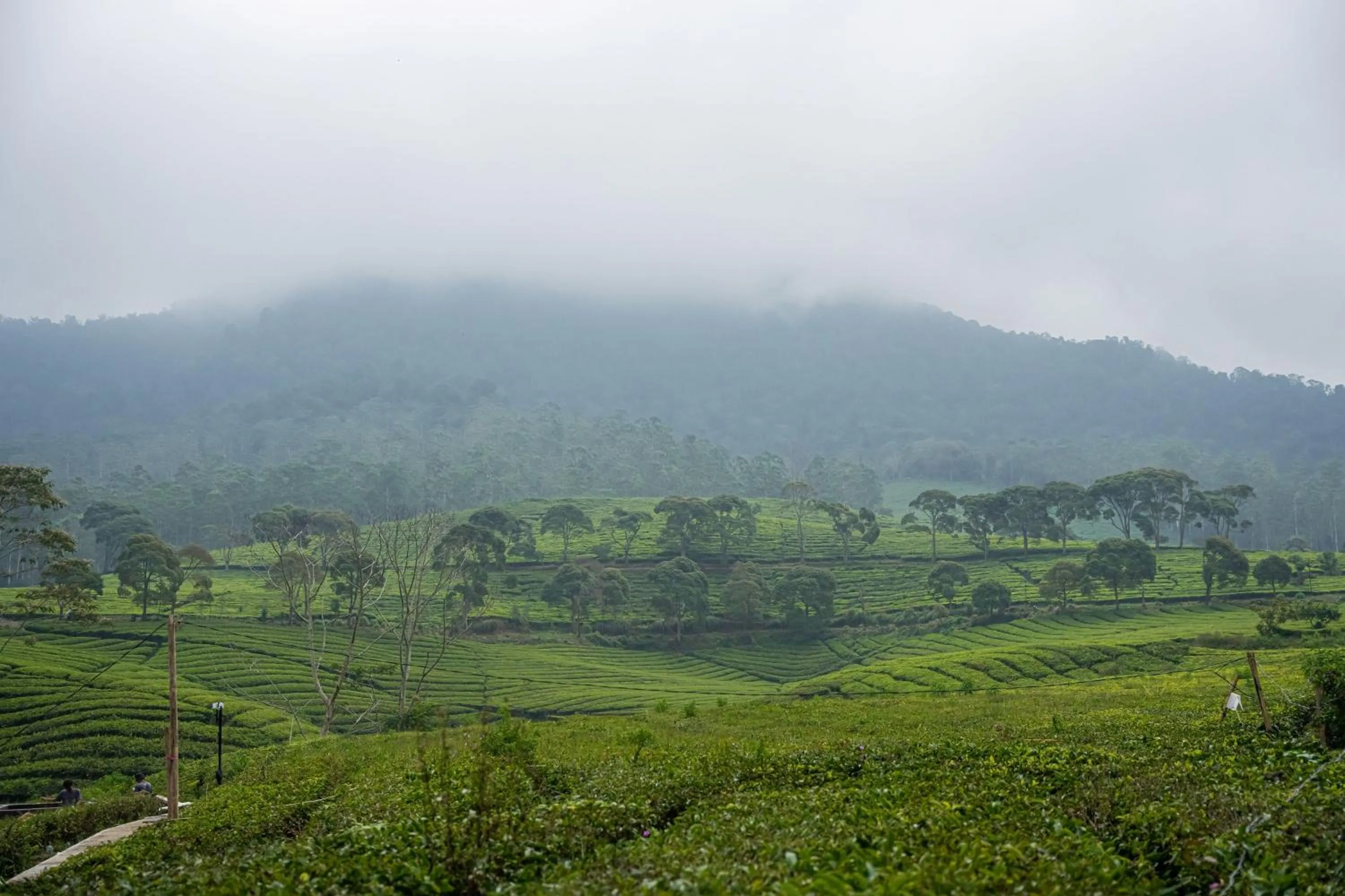 Bobocabin Pangalengan, Bandung