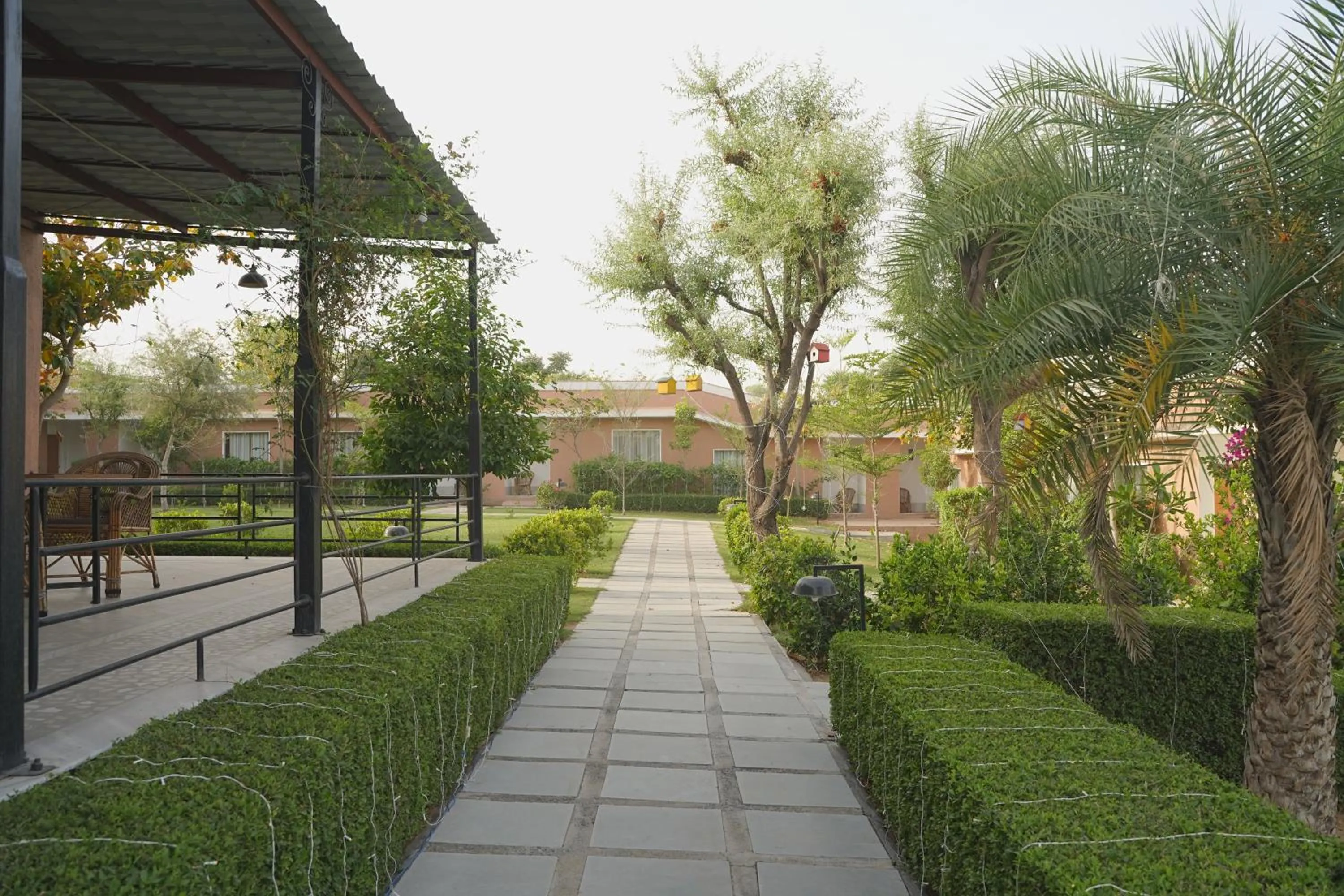 Garden view in Aangan Resort Mandawa