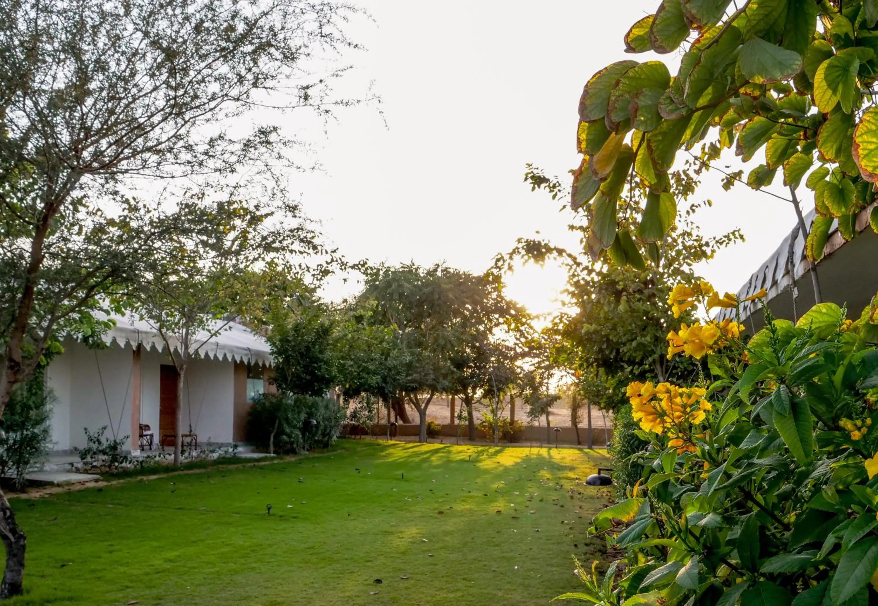 Garden in Aangan Resort Mandawa
