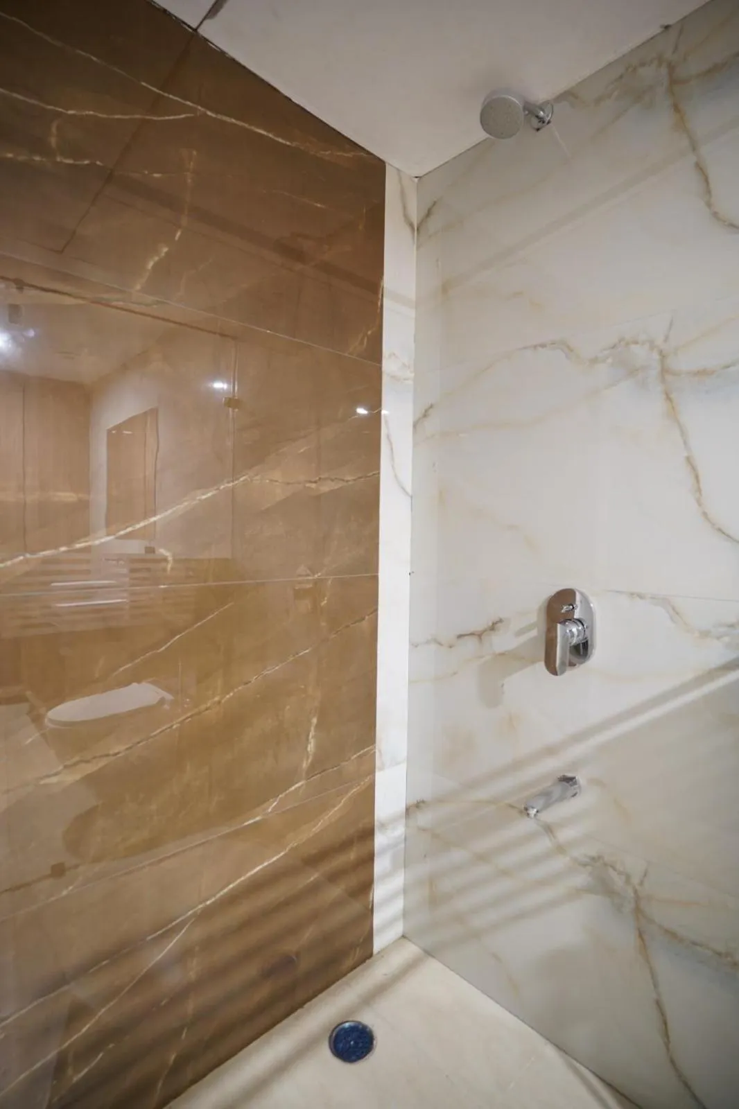 Shower in Hotel Krishna Inn