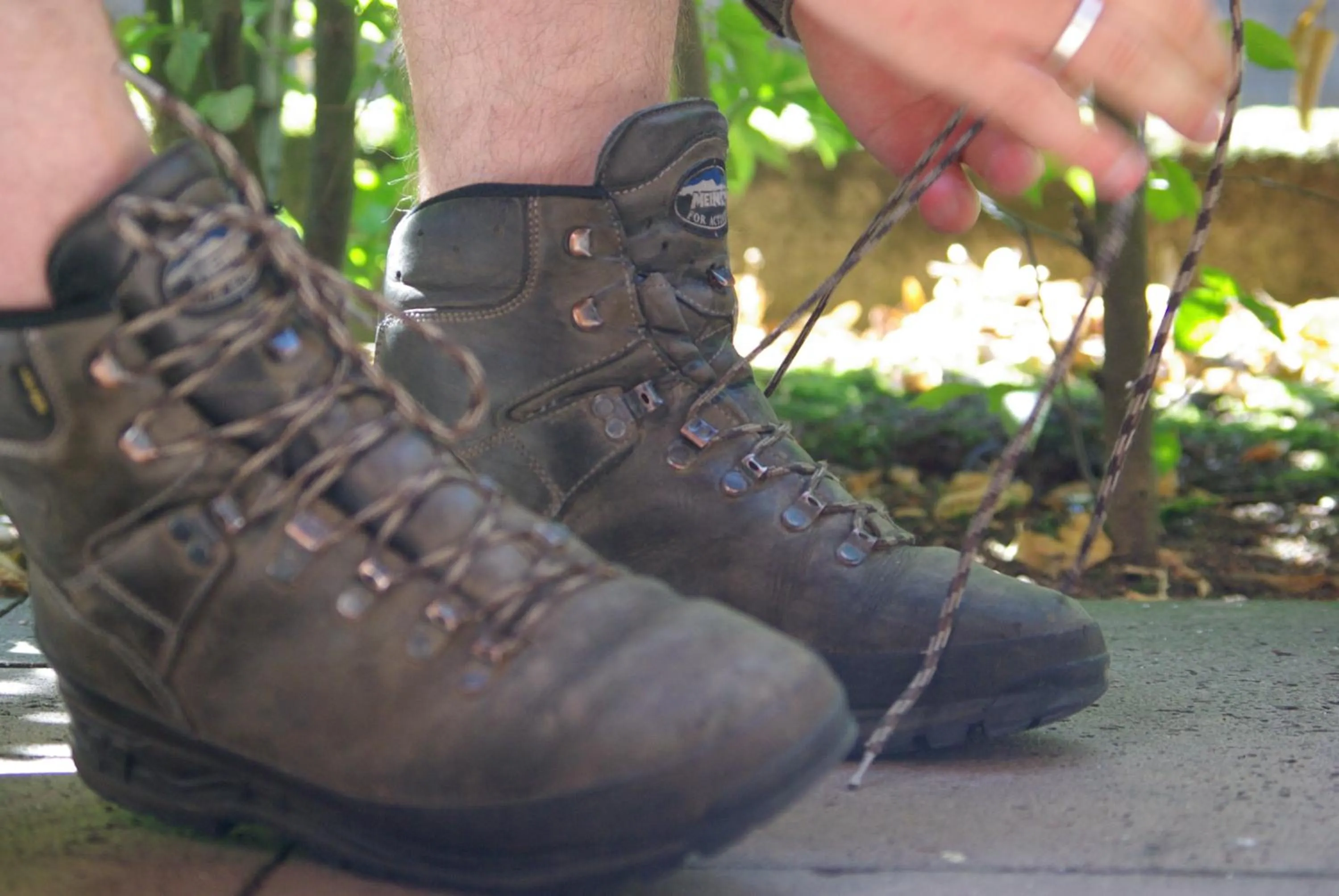 Hiking in 't Witte Hoes