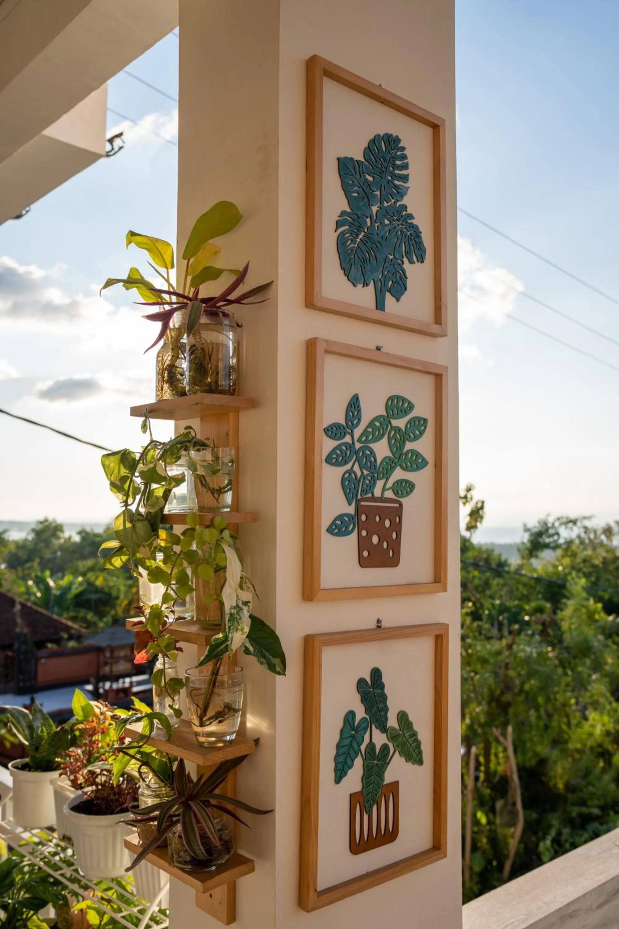 Garden in Mambo Hill Resort