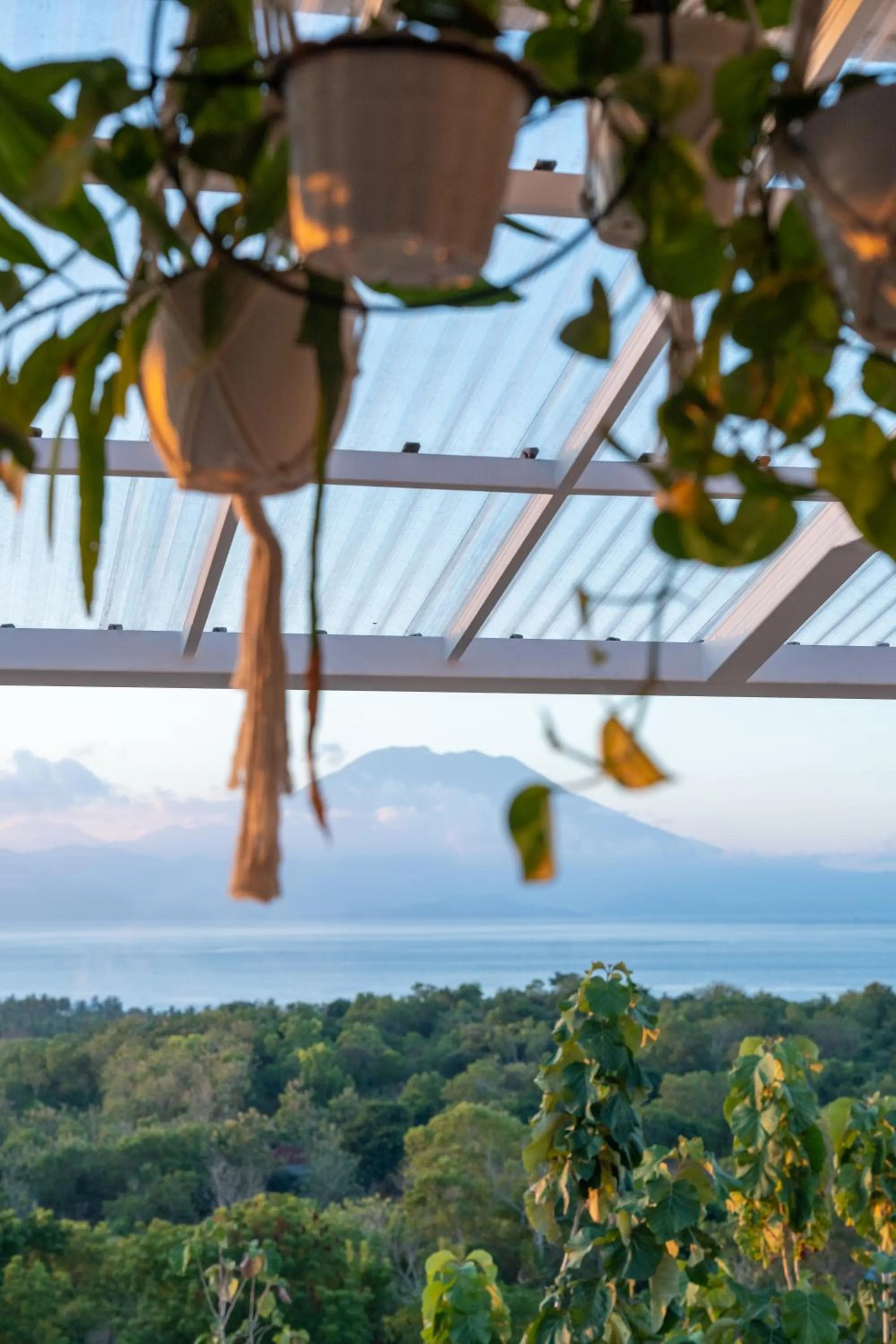 Decorative detail in Mambo Hill Resort