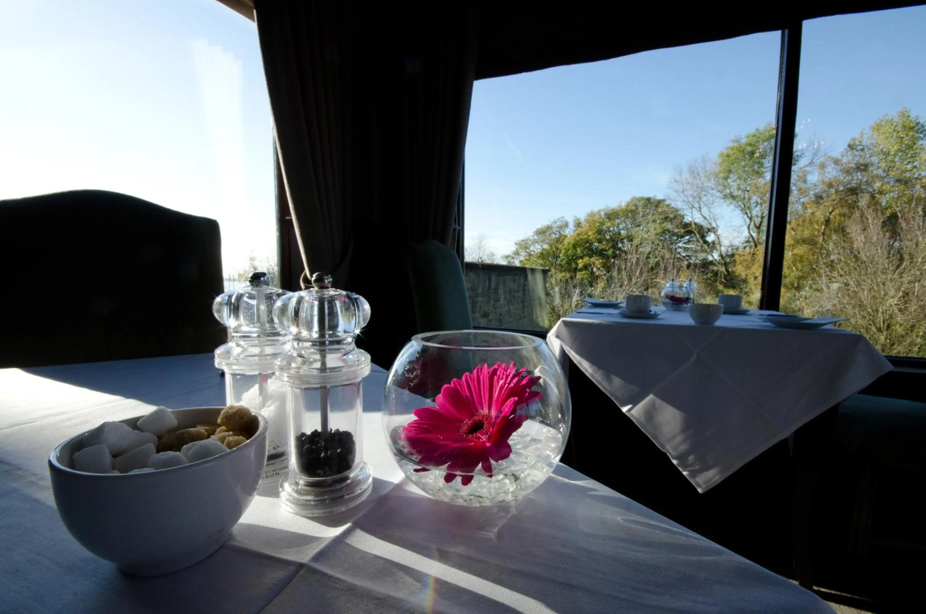 Restaurant/places to eat in Hatton Court Hotel