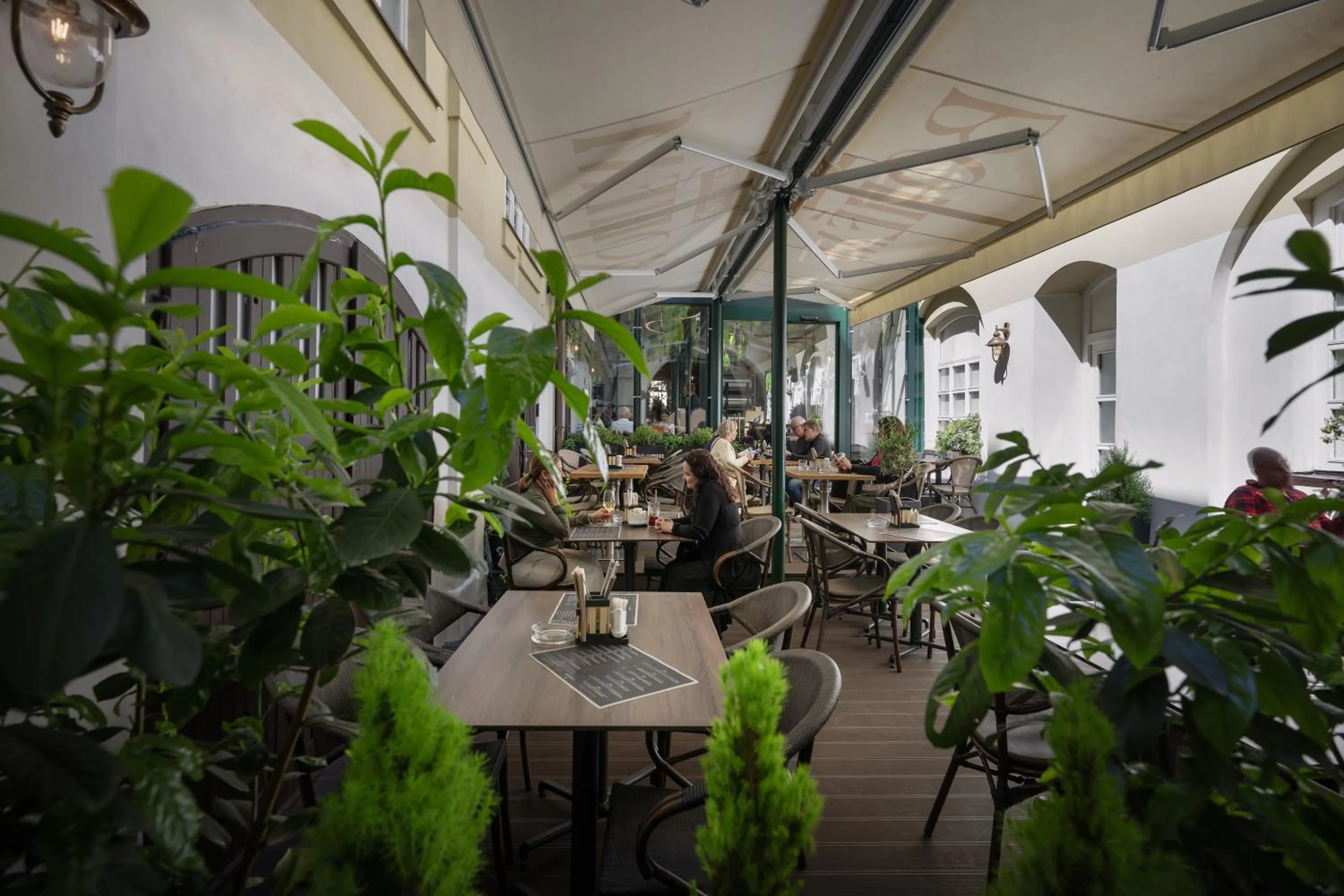 Restaurant/places to eat in Little King Hotel U Malvaze