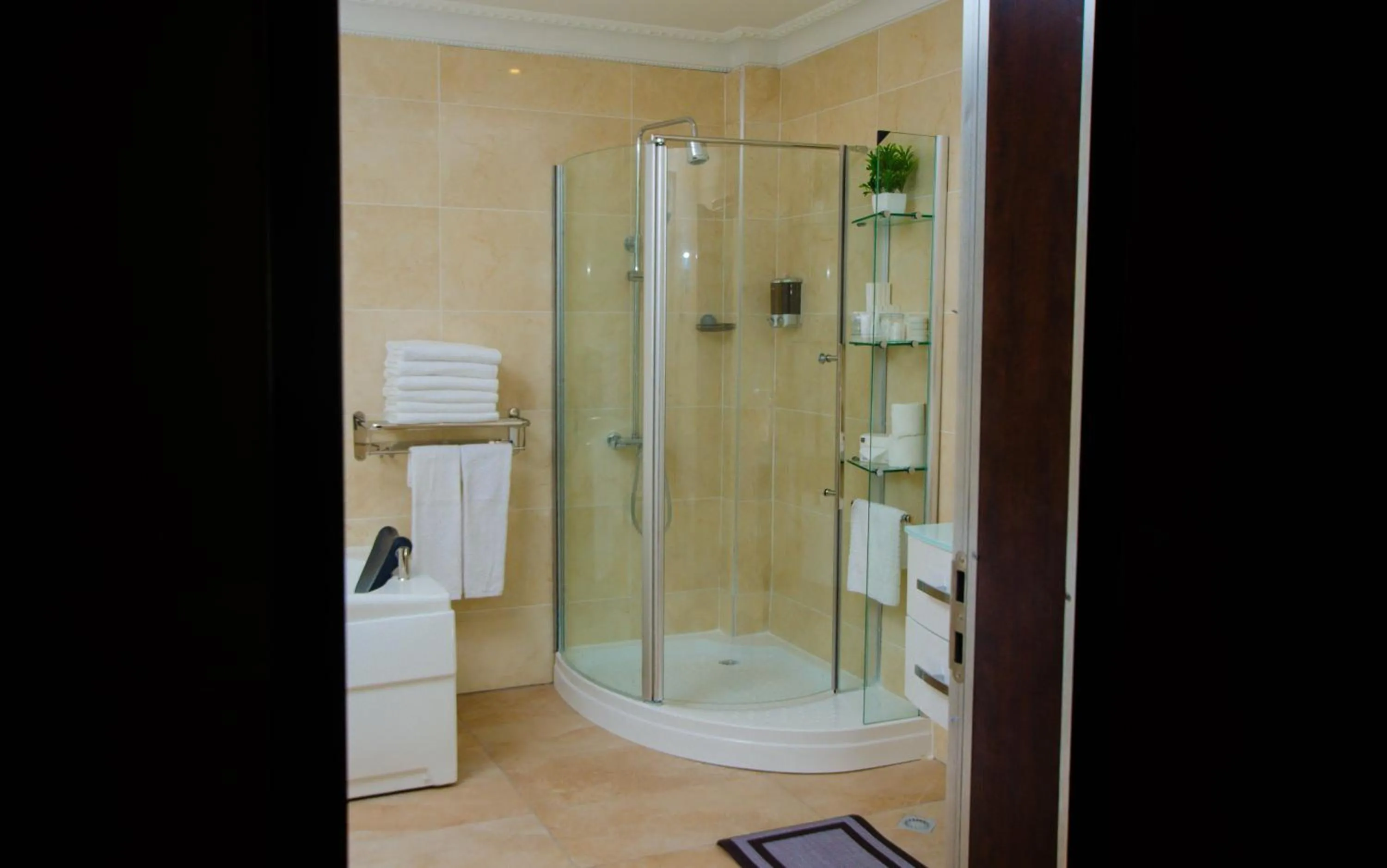 Shower in Zimansky Hotel