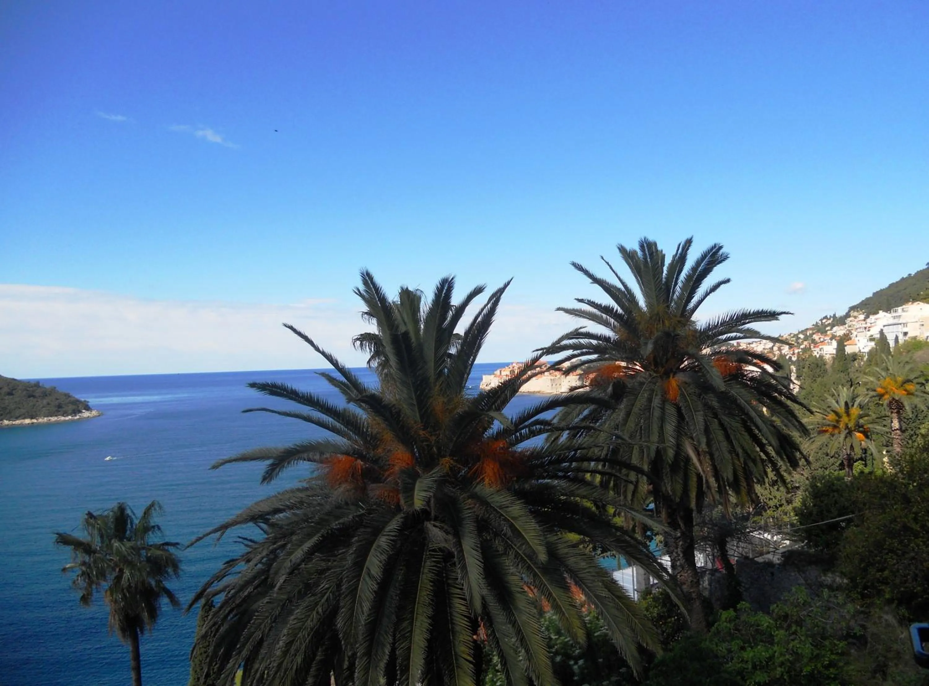 Natural landscape in Apartments Pully