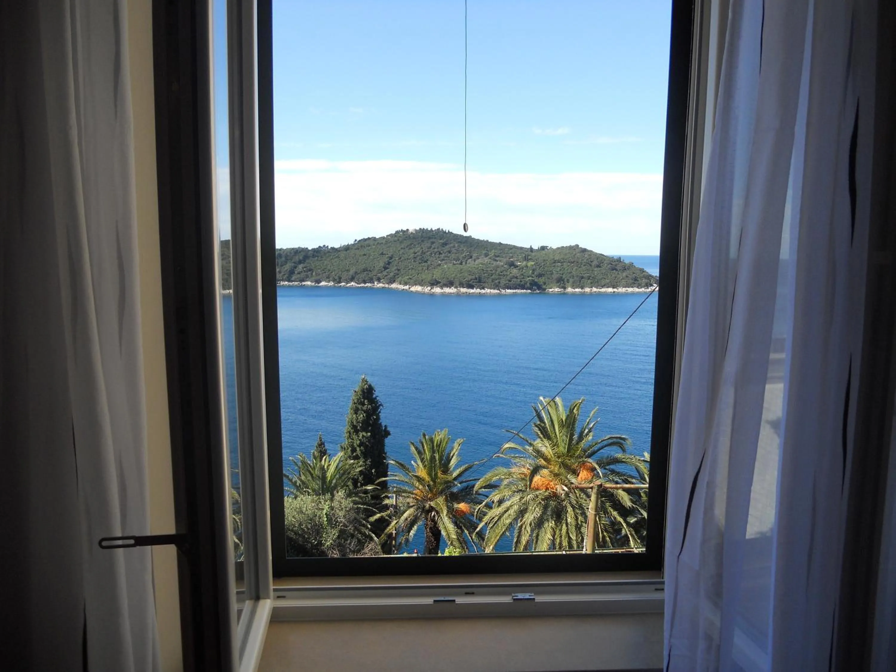 View (from property/room) in Apartments Pully