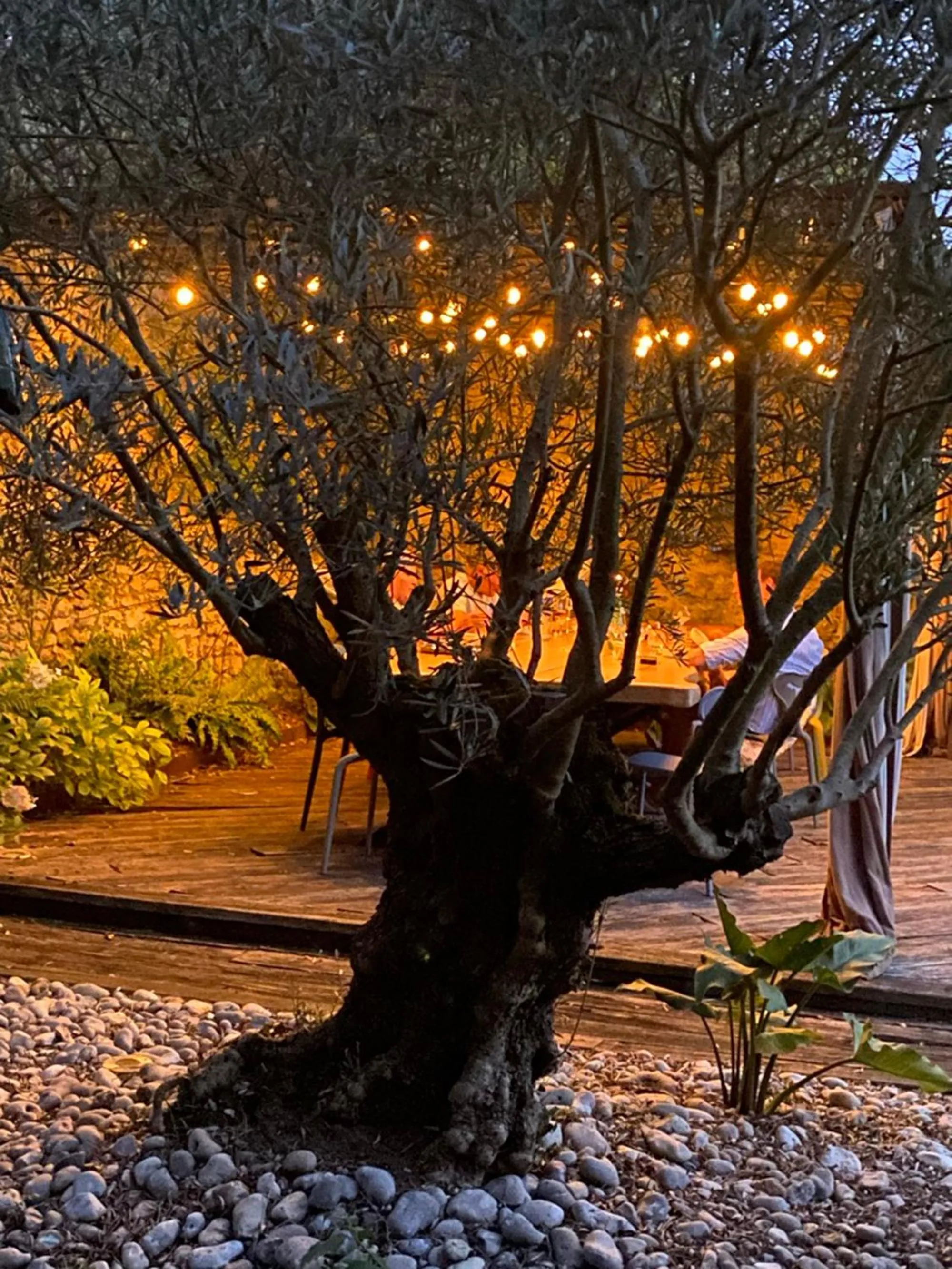 Patio in L'école des garçons