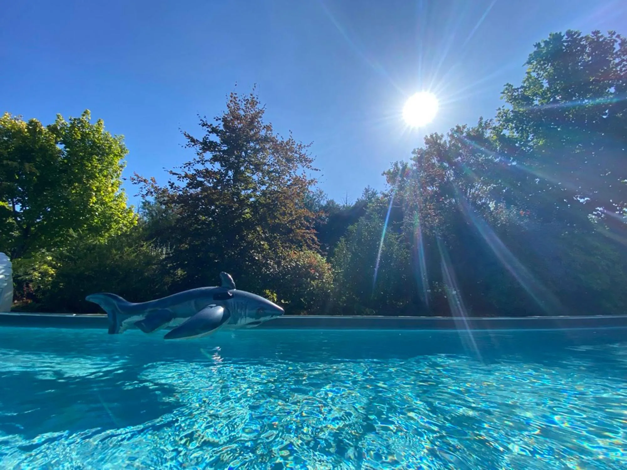 Swimming pool in L'école des garçons