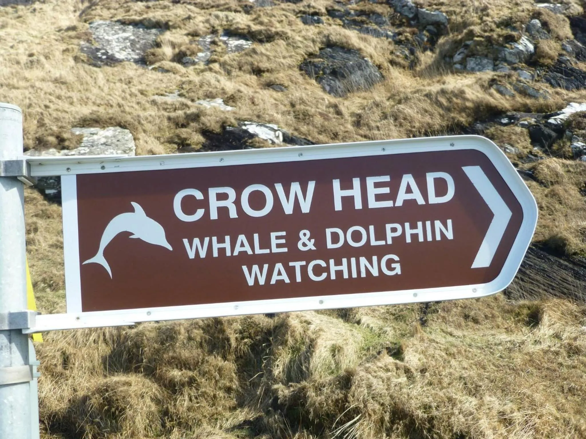 Nearby landmark in Island View House