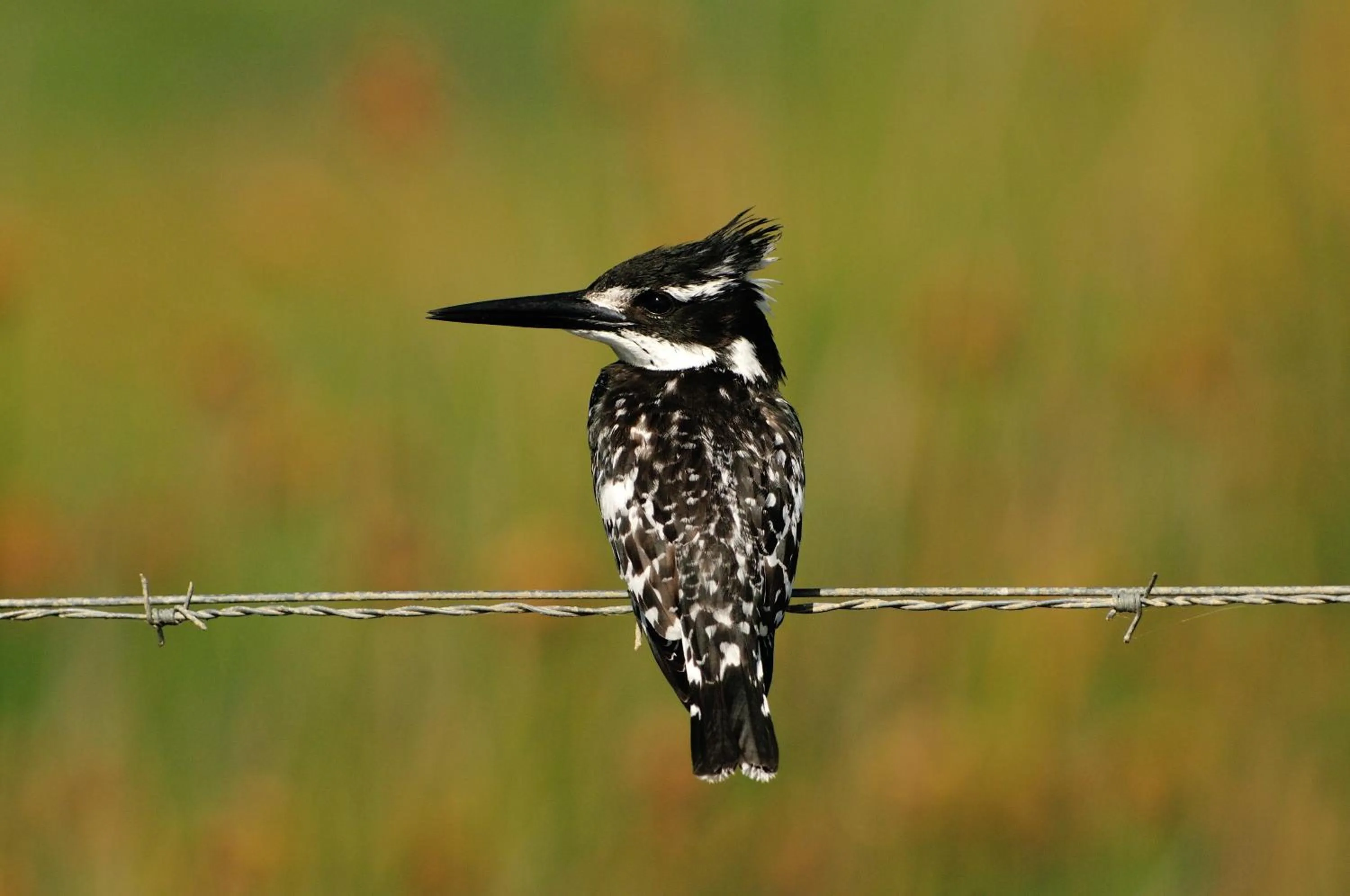 Activities in Beside Still Waters