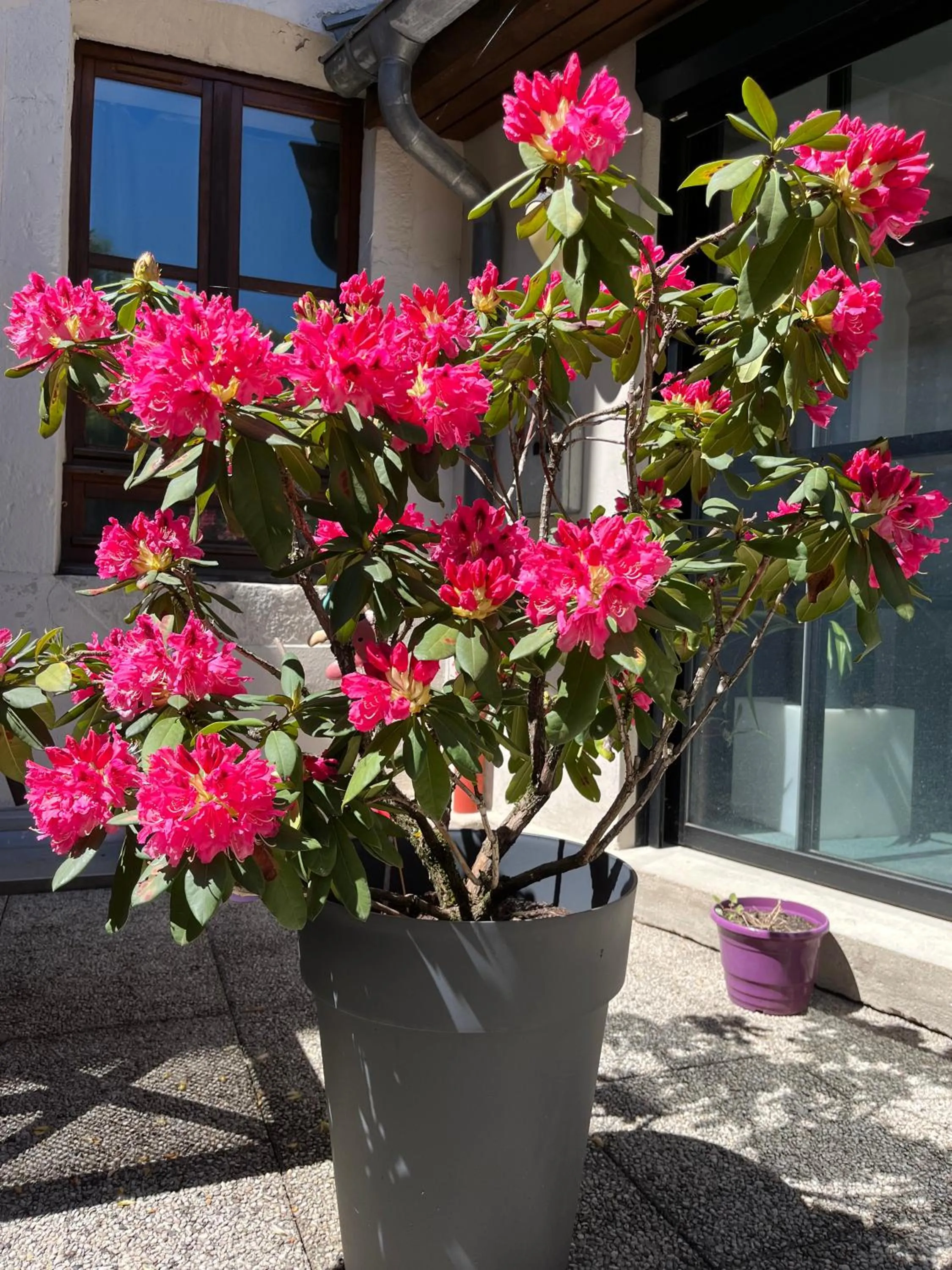Patio in Hôtel Le Lacuzon
