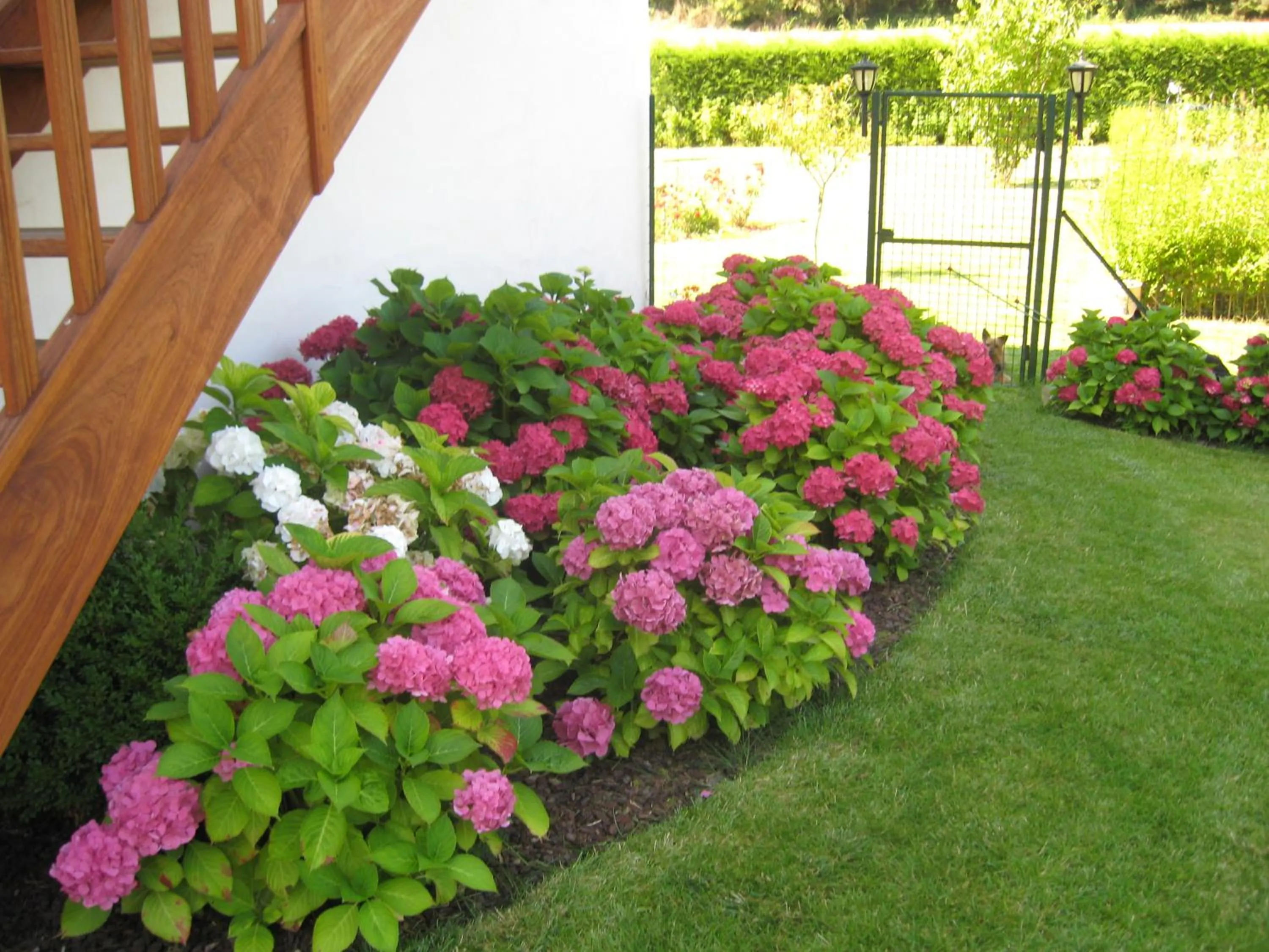 Garden in La Bourgade