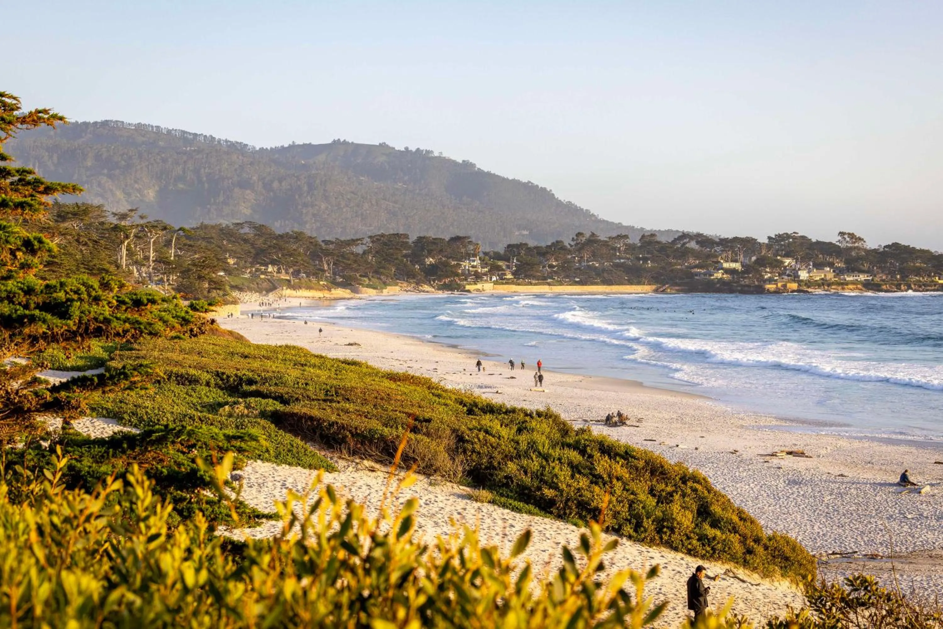 Beach in Home2 Suites By Hilton Marina