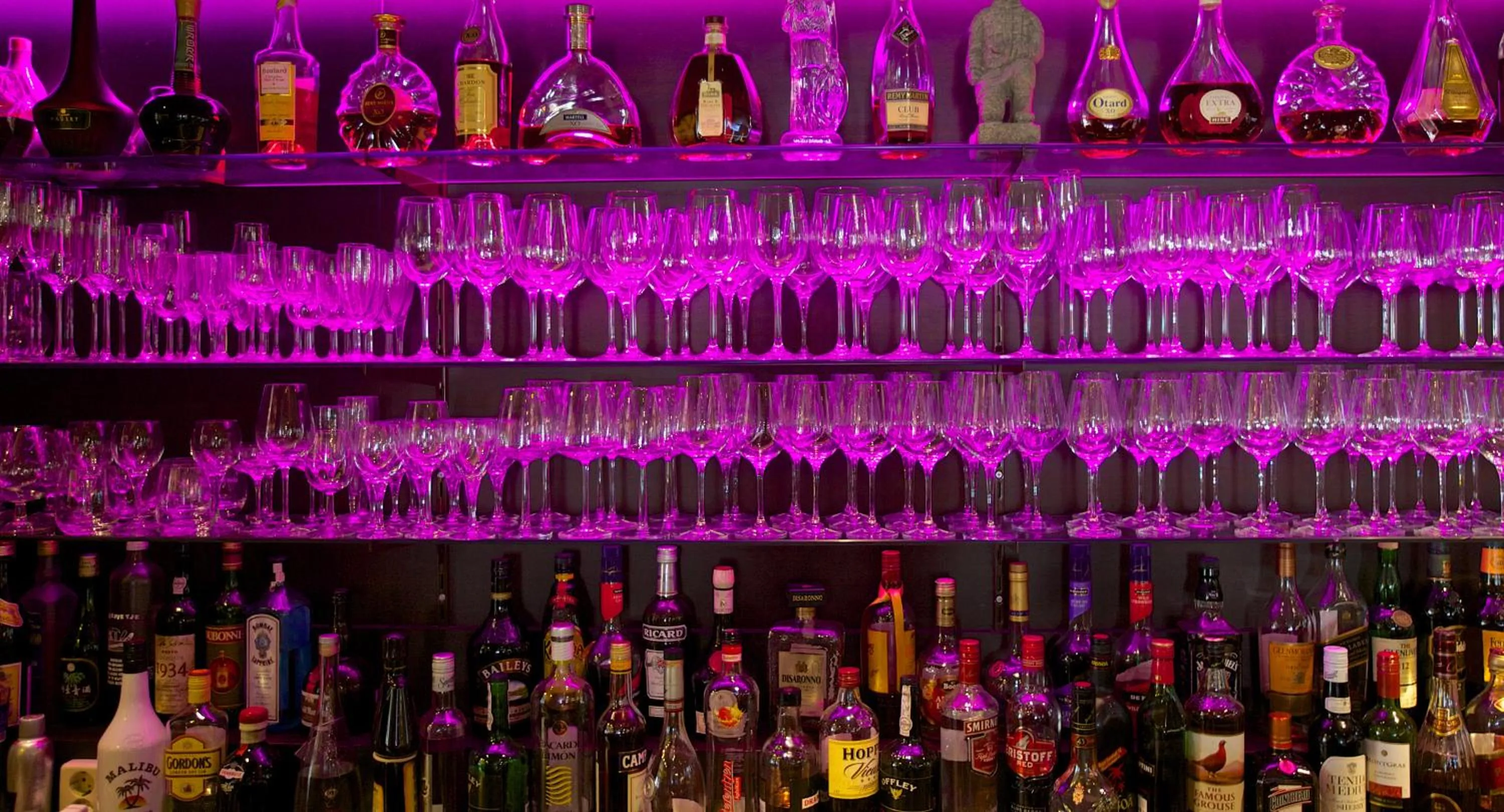 Lounge or bar in Hampshire Hotel Petit Nord