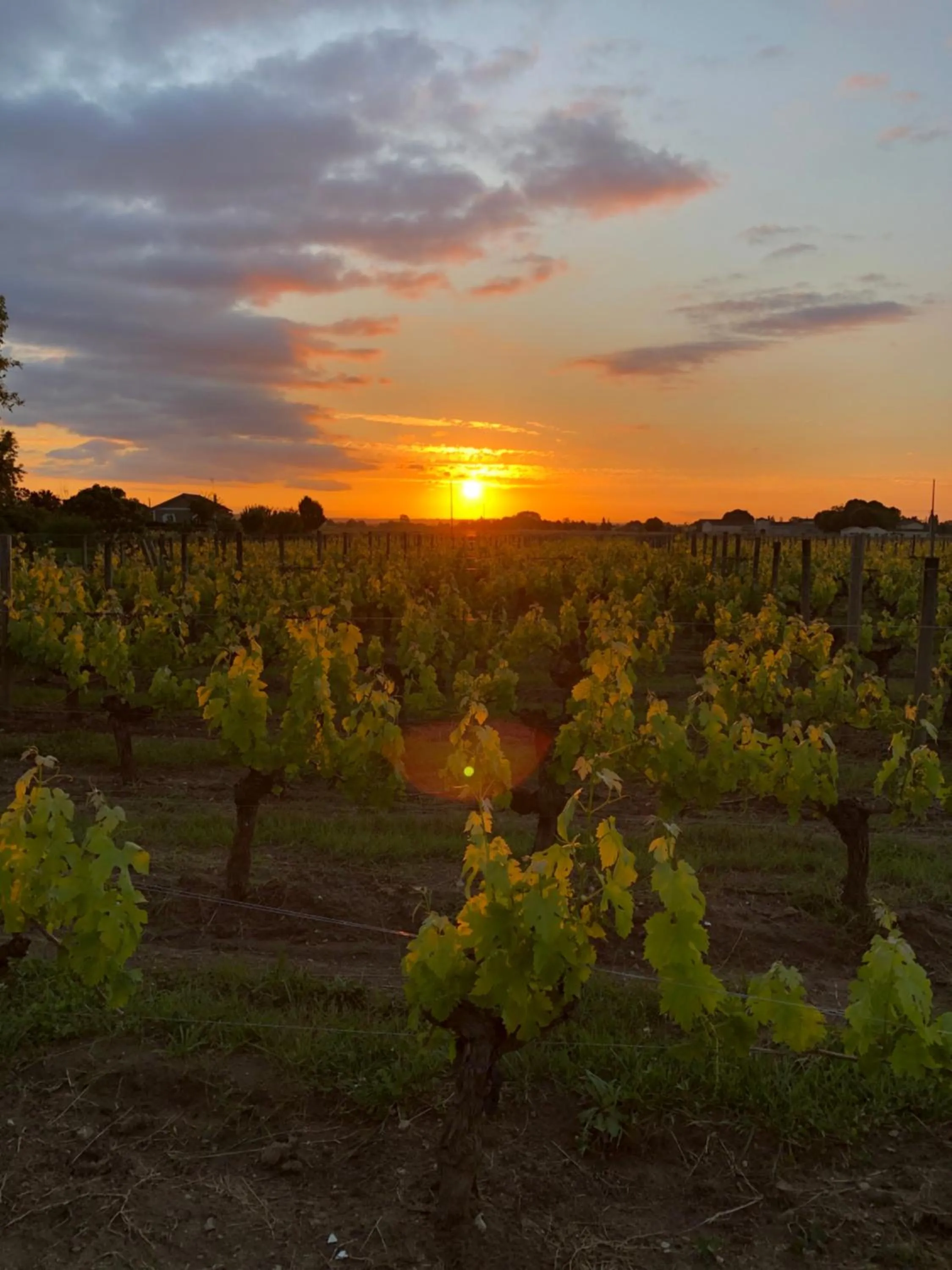 Natural landscape in La Gomerie Chambres d'Hotes