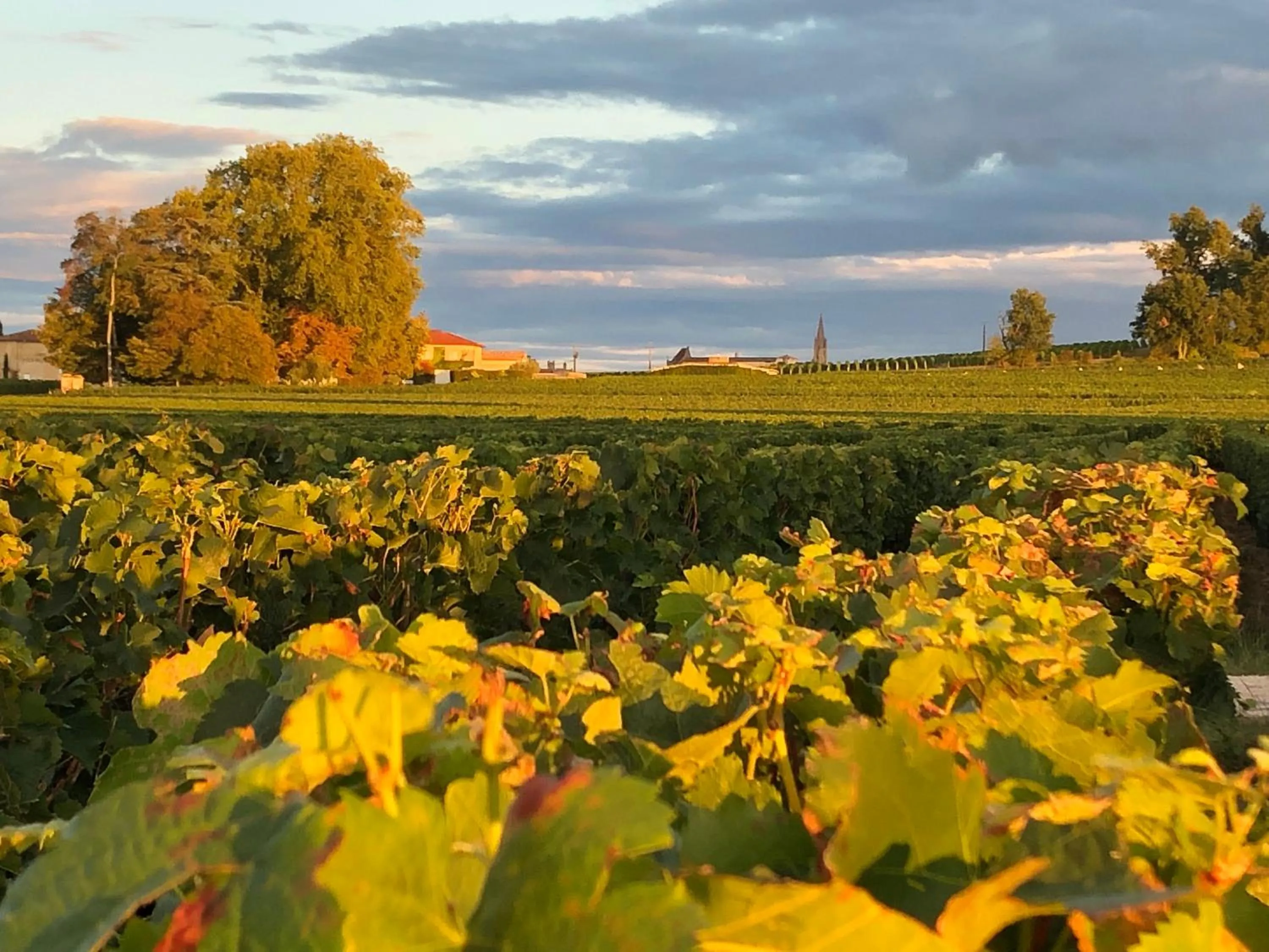 Natural landscape in La Gomerie Chambres d'Hotes