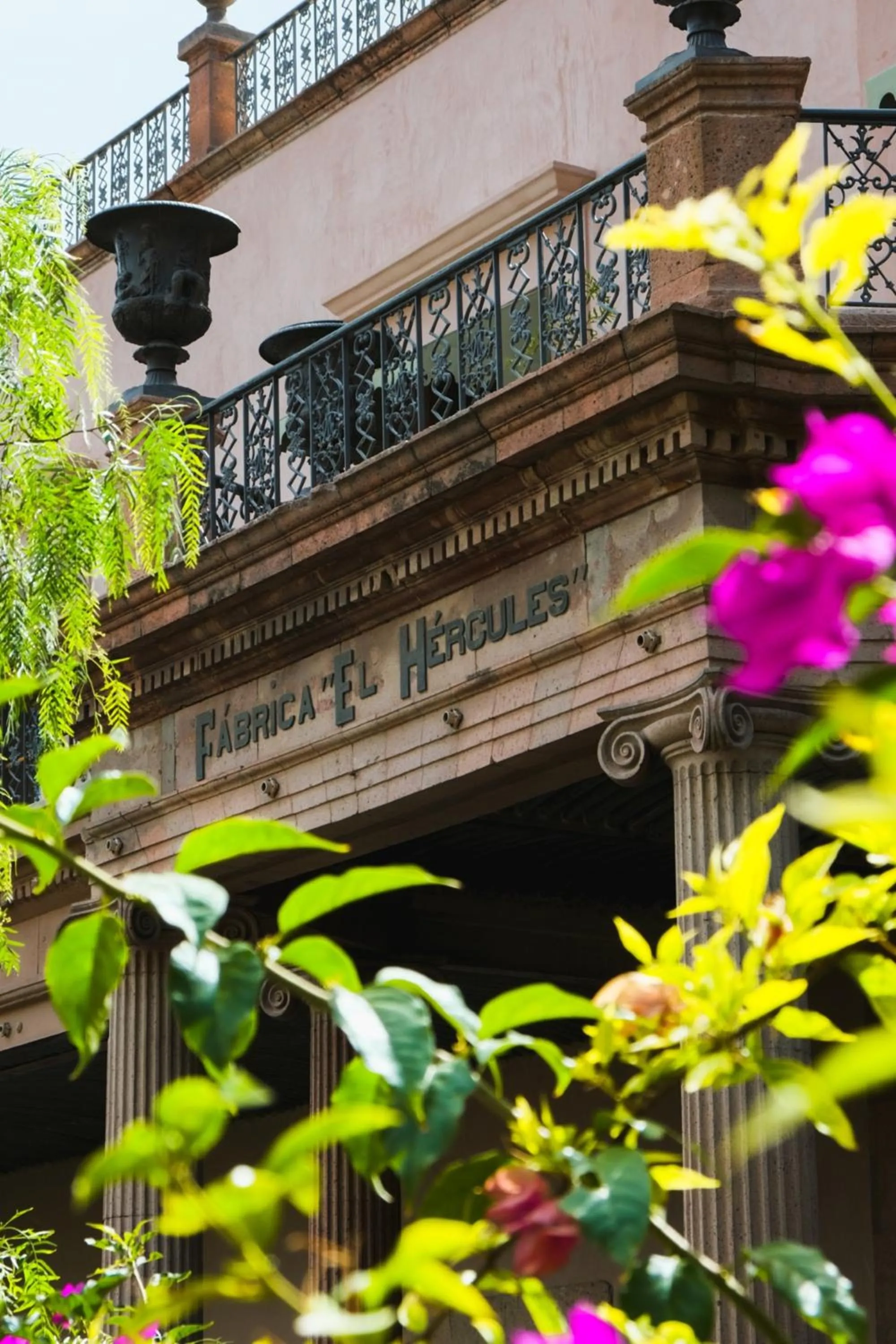 Property building in Hotel Hércules