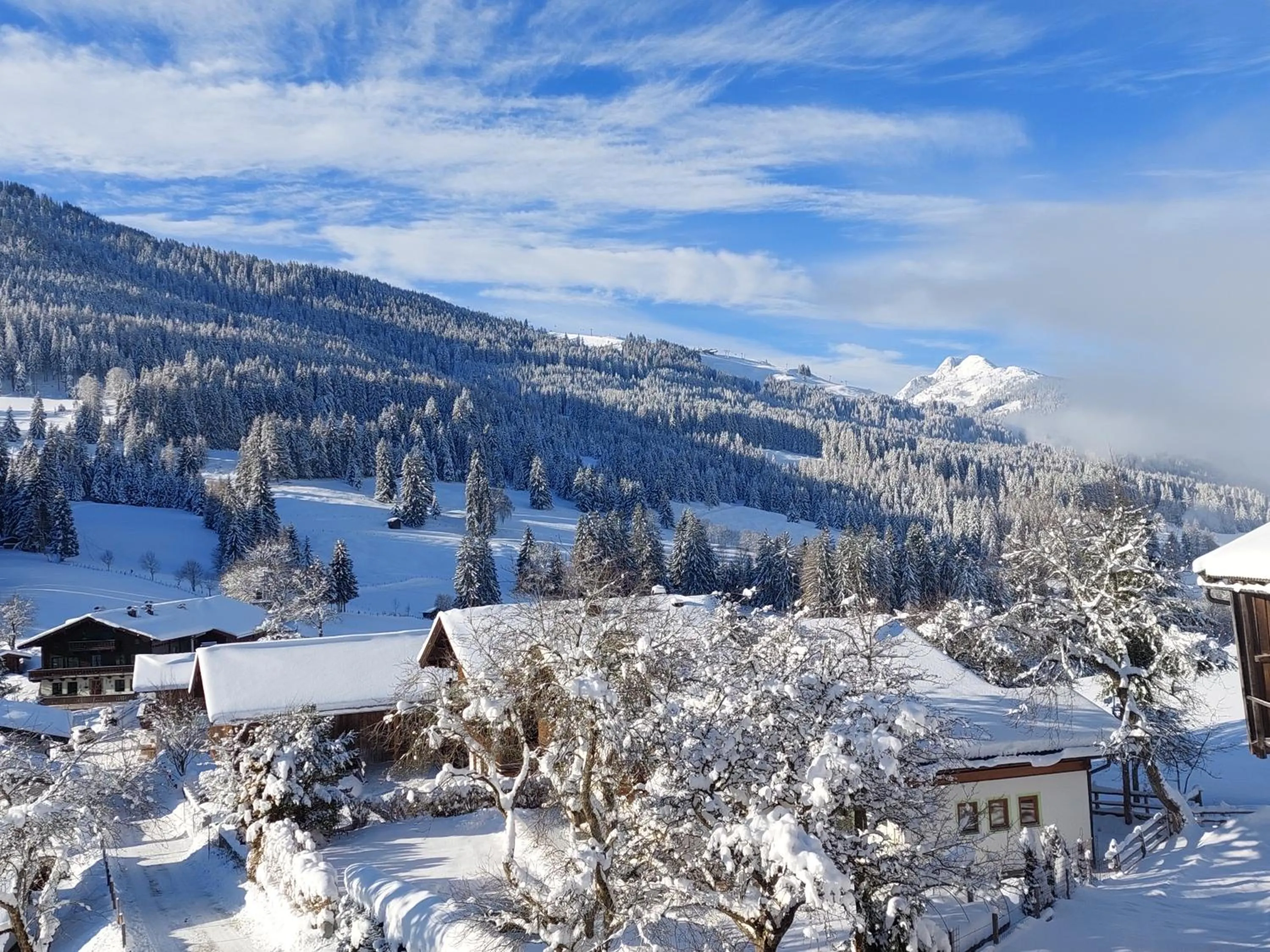 View (from property/room) in Hotel Gasthof Erbhof Anderlhof
